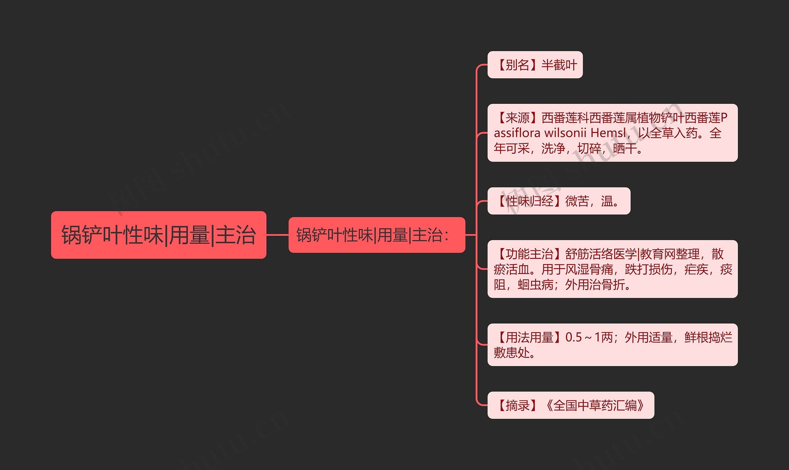 锅铲叶性味|用量|主治思维导图