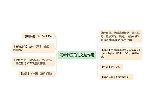 薄叶棘豆的功效与作用