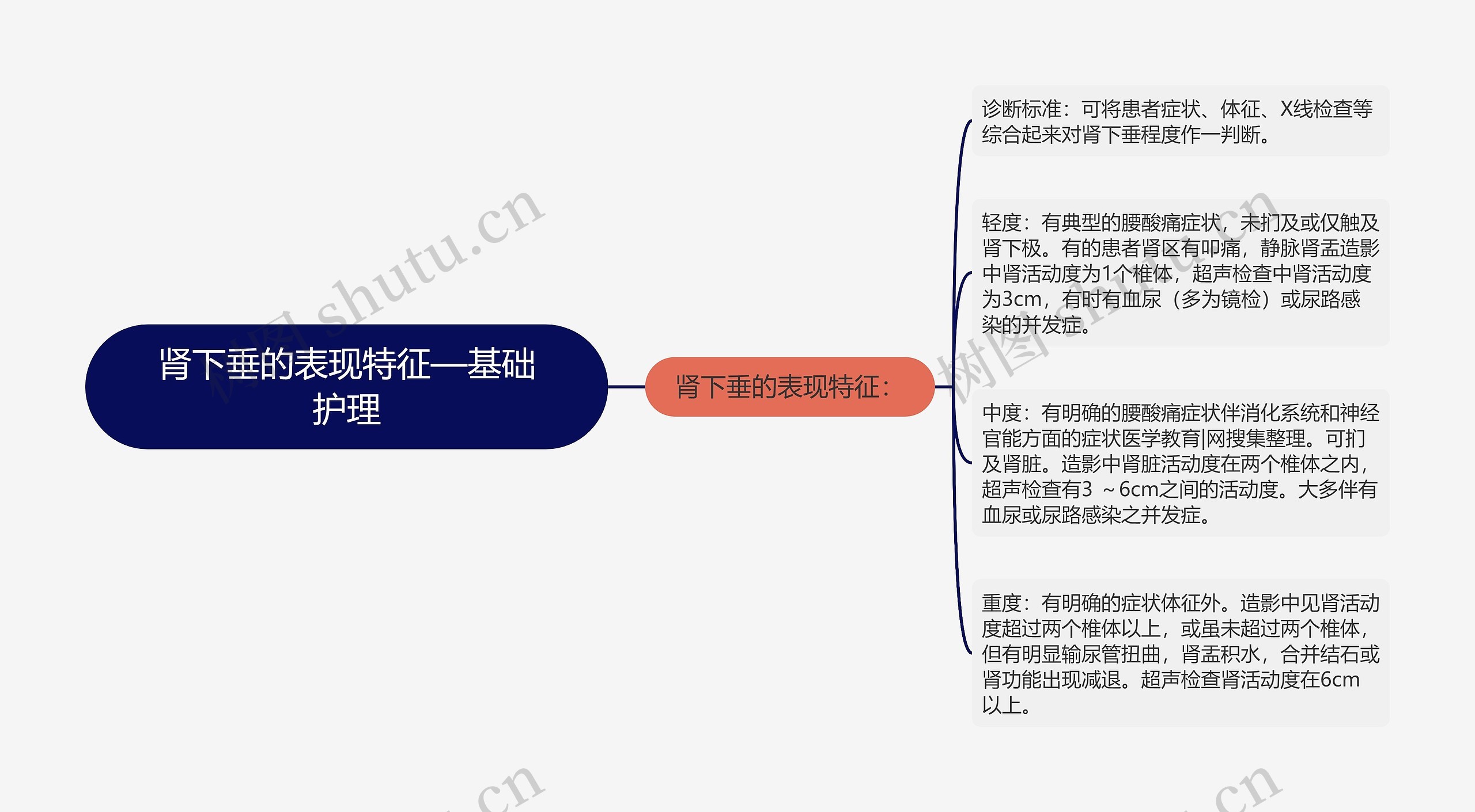 肾下垂的表现特征—基础护理思维导图