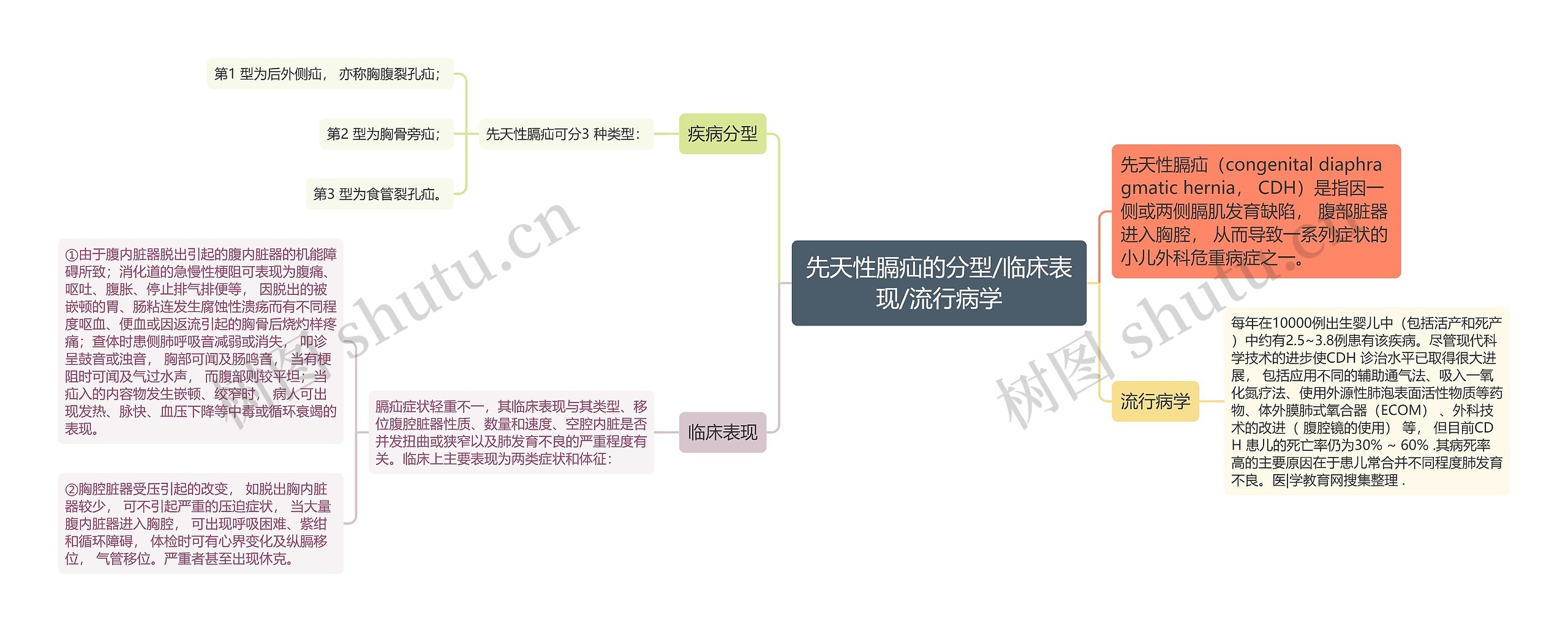 先天性膈疝的分型/临床表现/流行病学思维导图