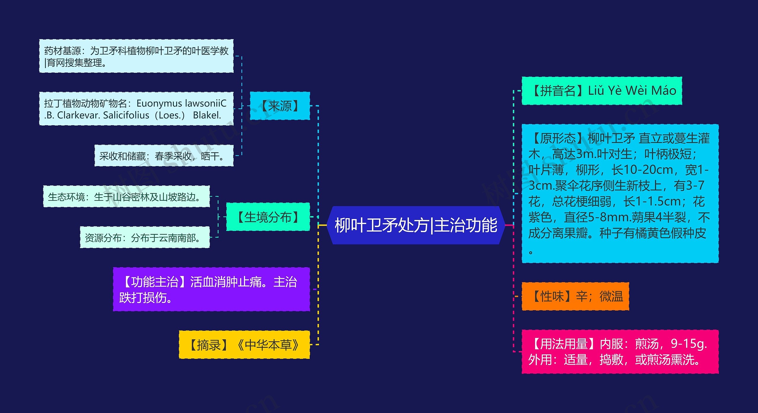 柳叶卫矛处方|主治功能思维导图