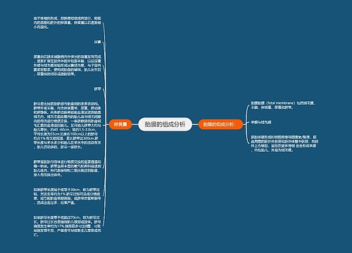 胎膜的组成分析