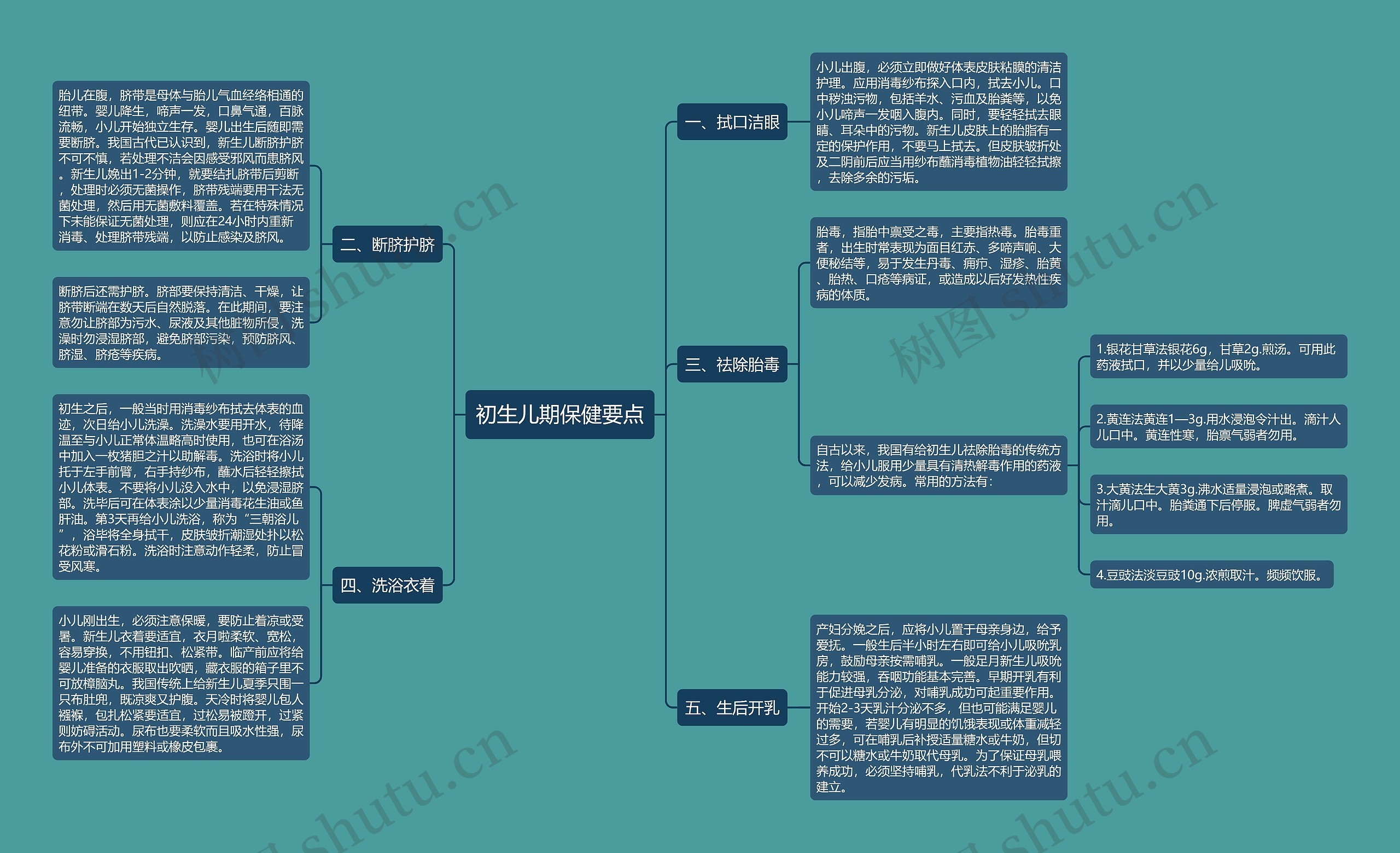 初生儿期保健要点思维导图