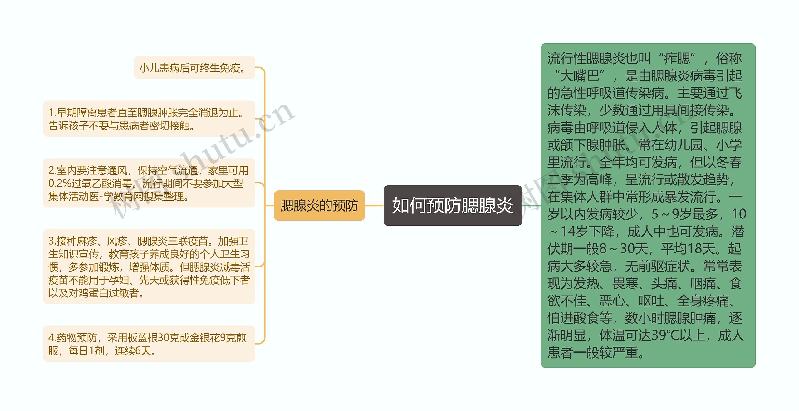 如何预防腮腺炎思维导图