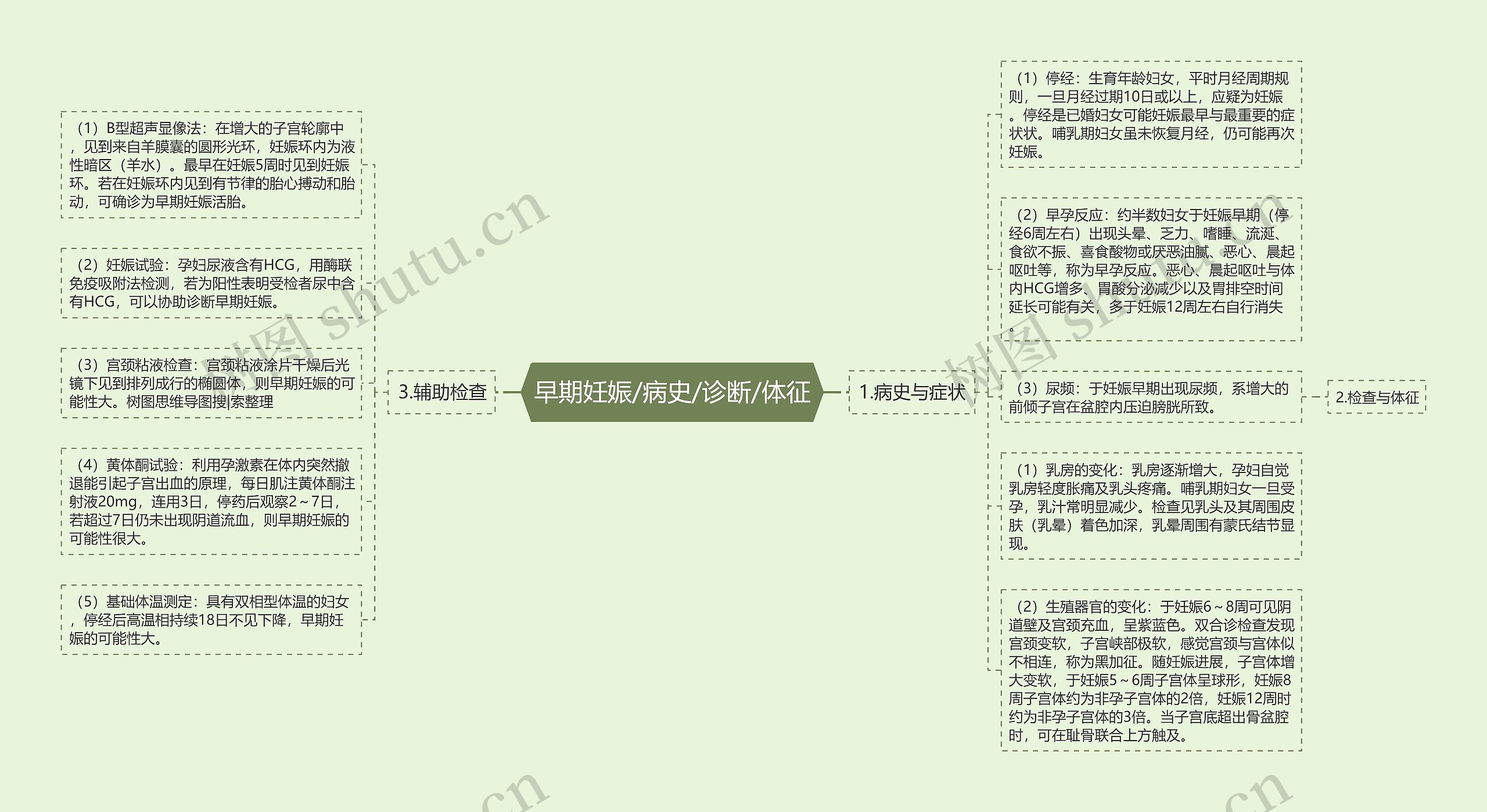 早期妊娠/病史/诊断/体征