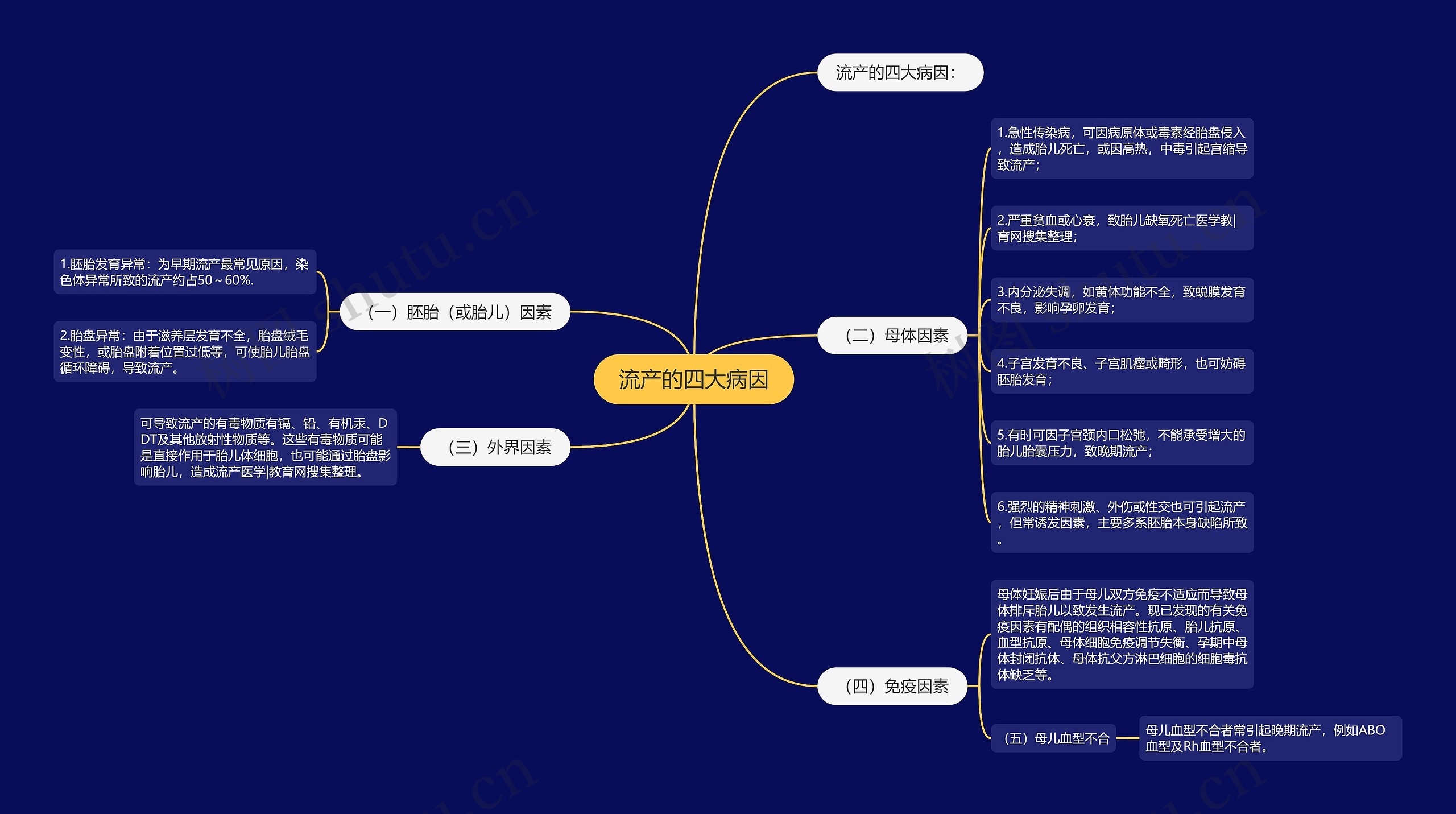 流产的四大病因思维导图