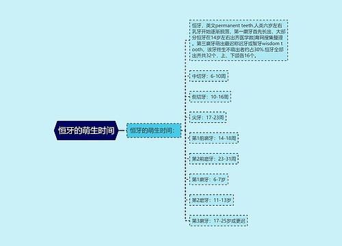 恒牙的萌生时间