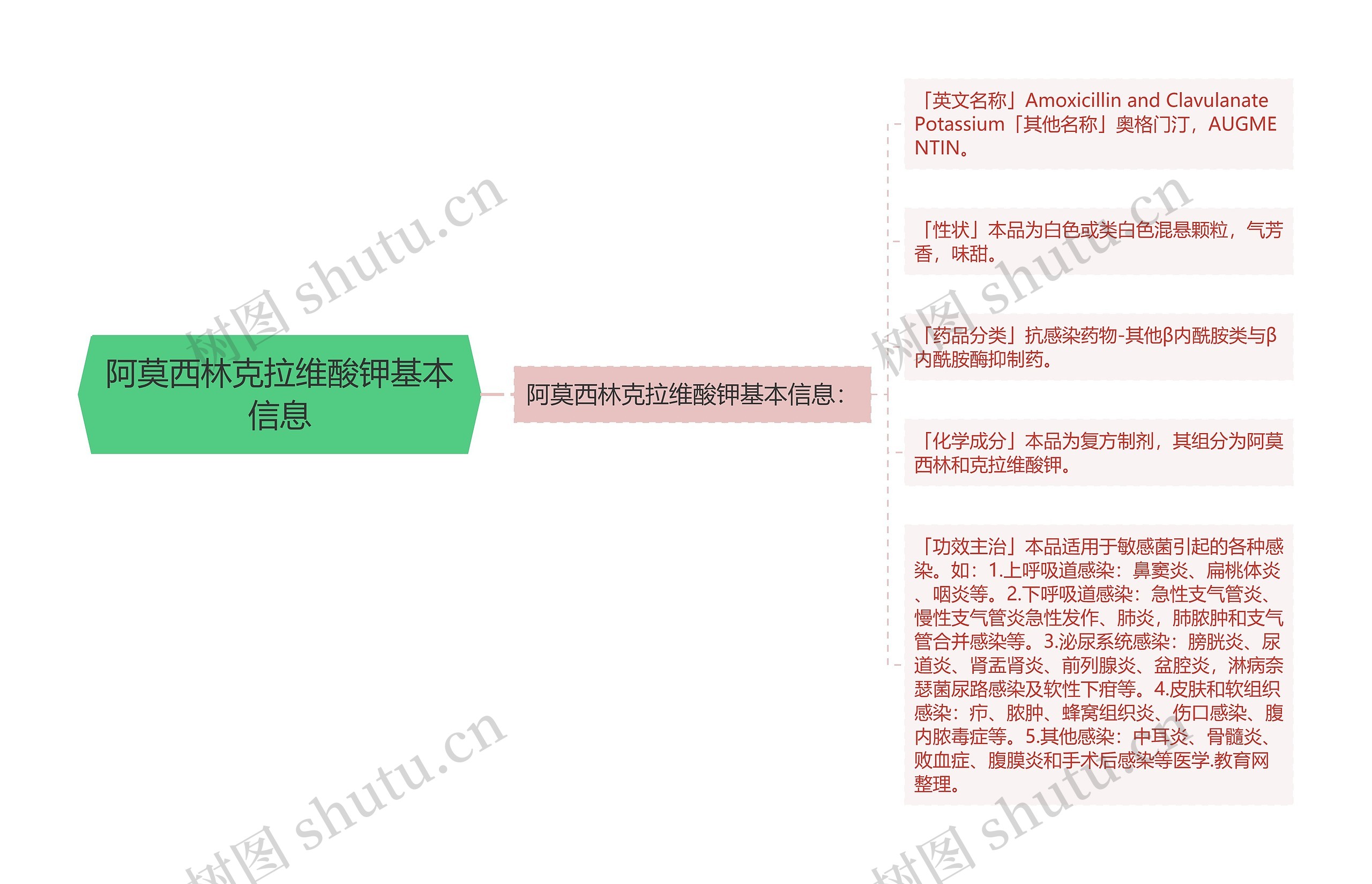 阿莫西林克拉维酸钾基本信息