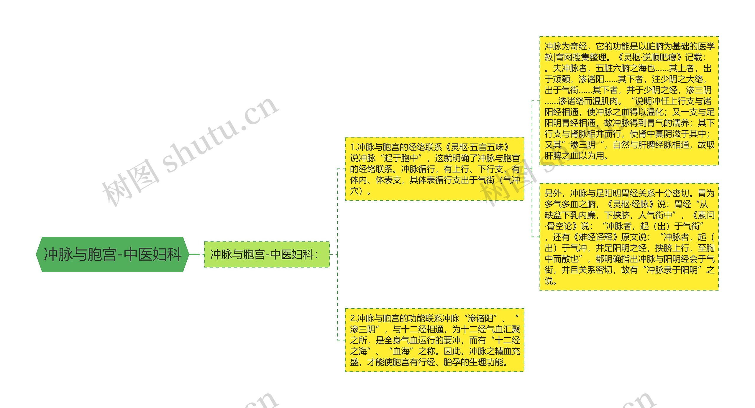 冲脉与胞宫-中医妇科 冲脉与胞宫-中医妇科