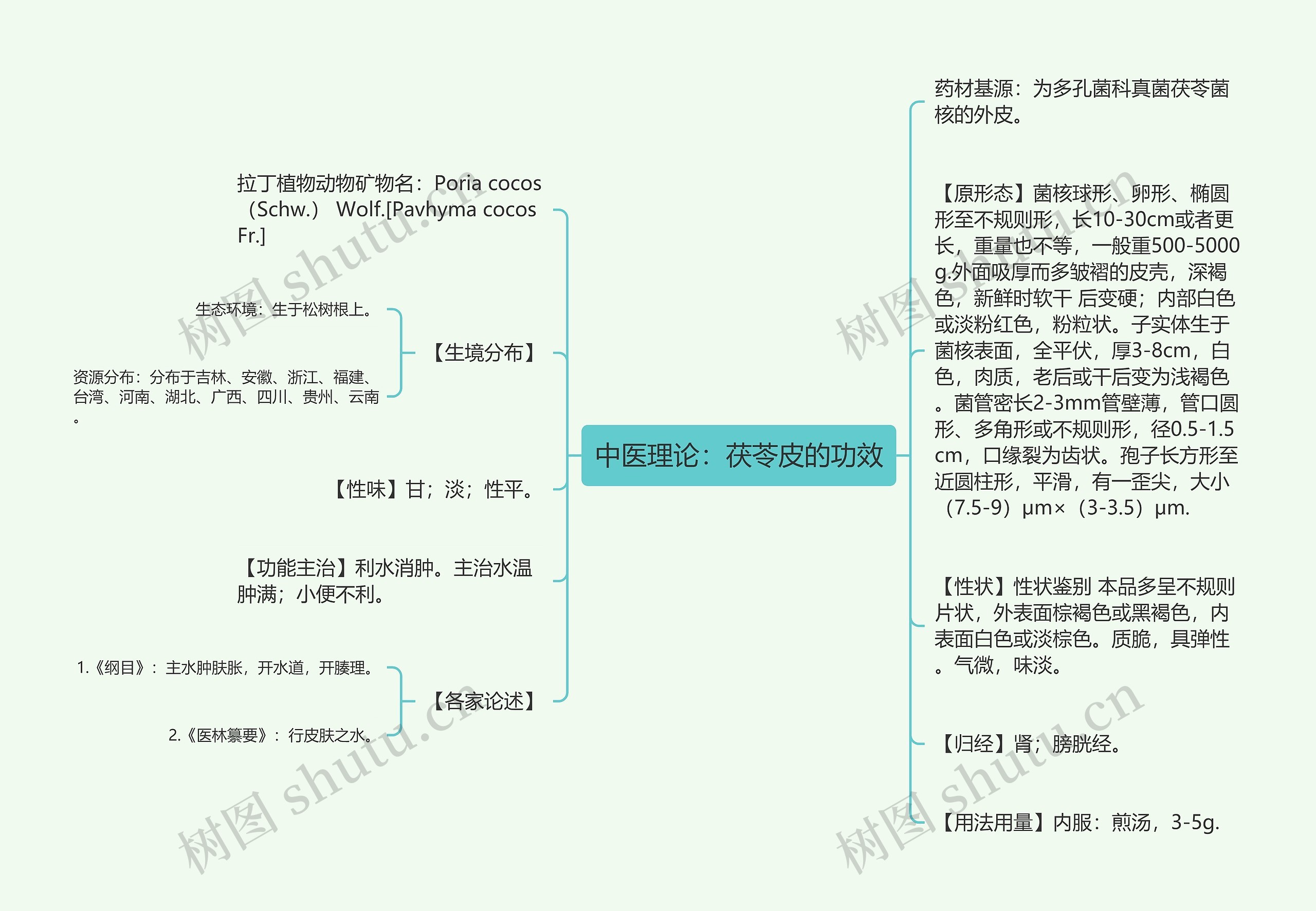 中医理论：茯苓皮的功效