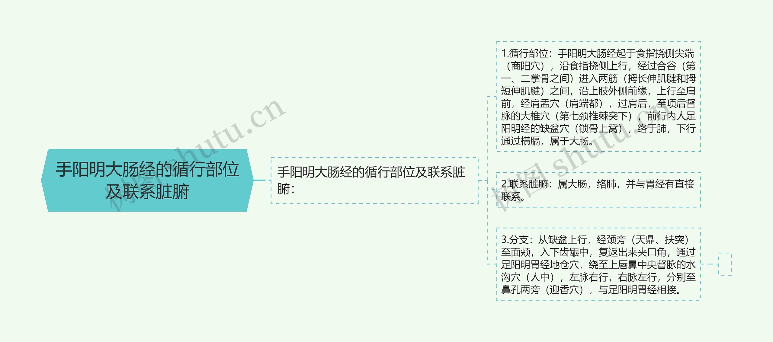手阳明大肠经的循行部位及联系脏腑 手阳明大肠经的循行部位及联系脏腑