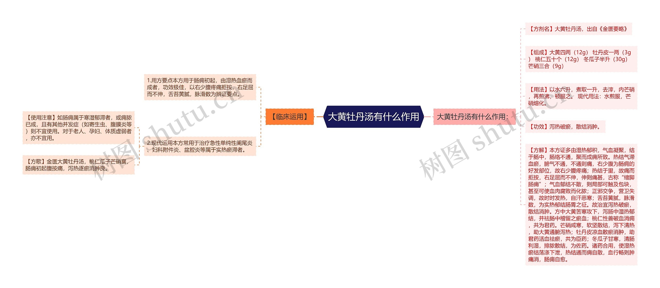 大黄牡丹汤有什么作用思维导图