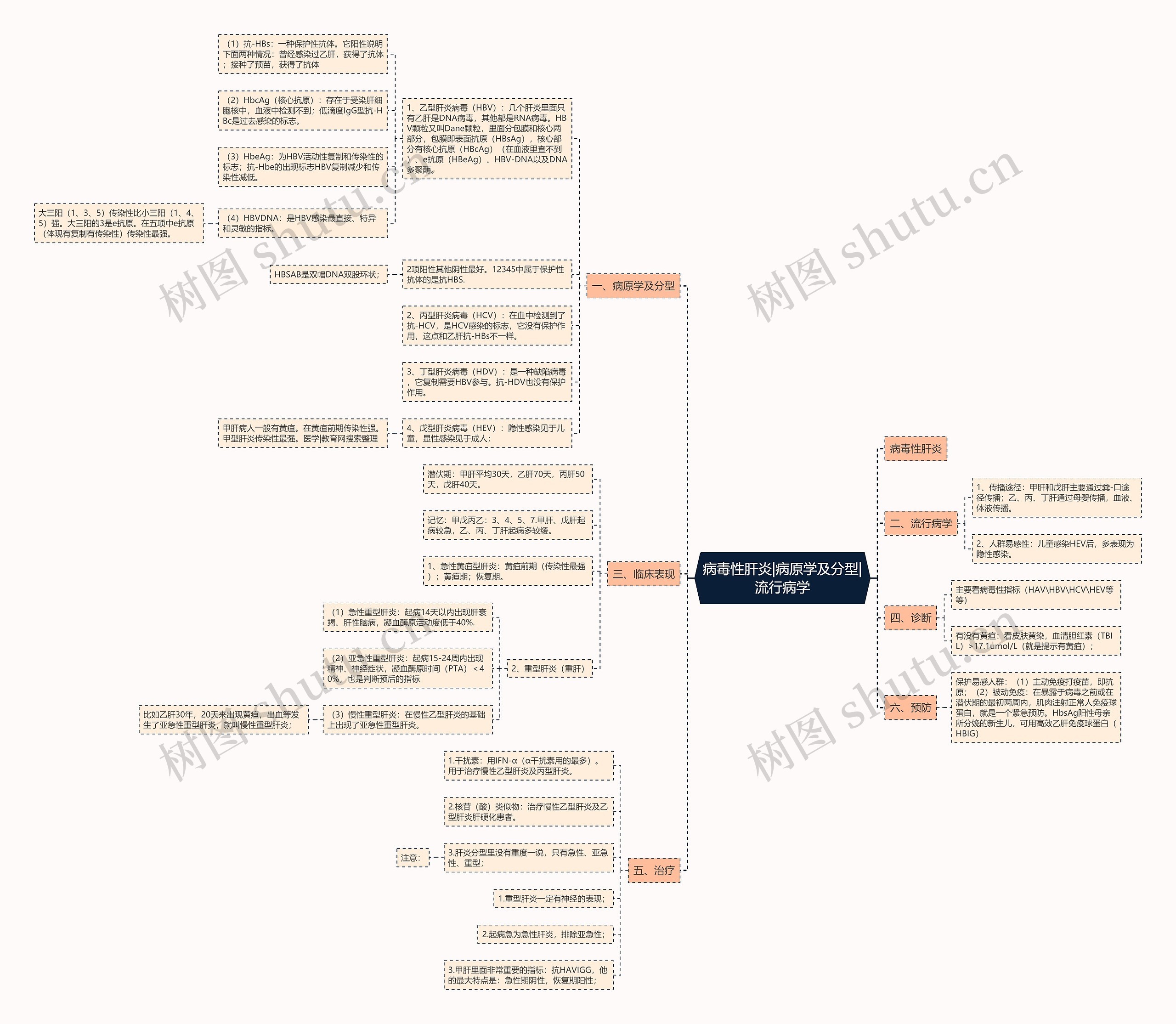 病毒性肝炎|病原学及分型|流行病学思维导图