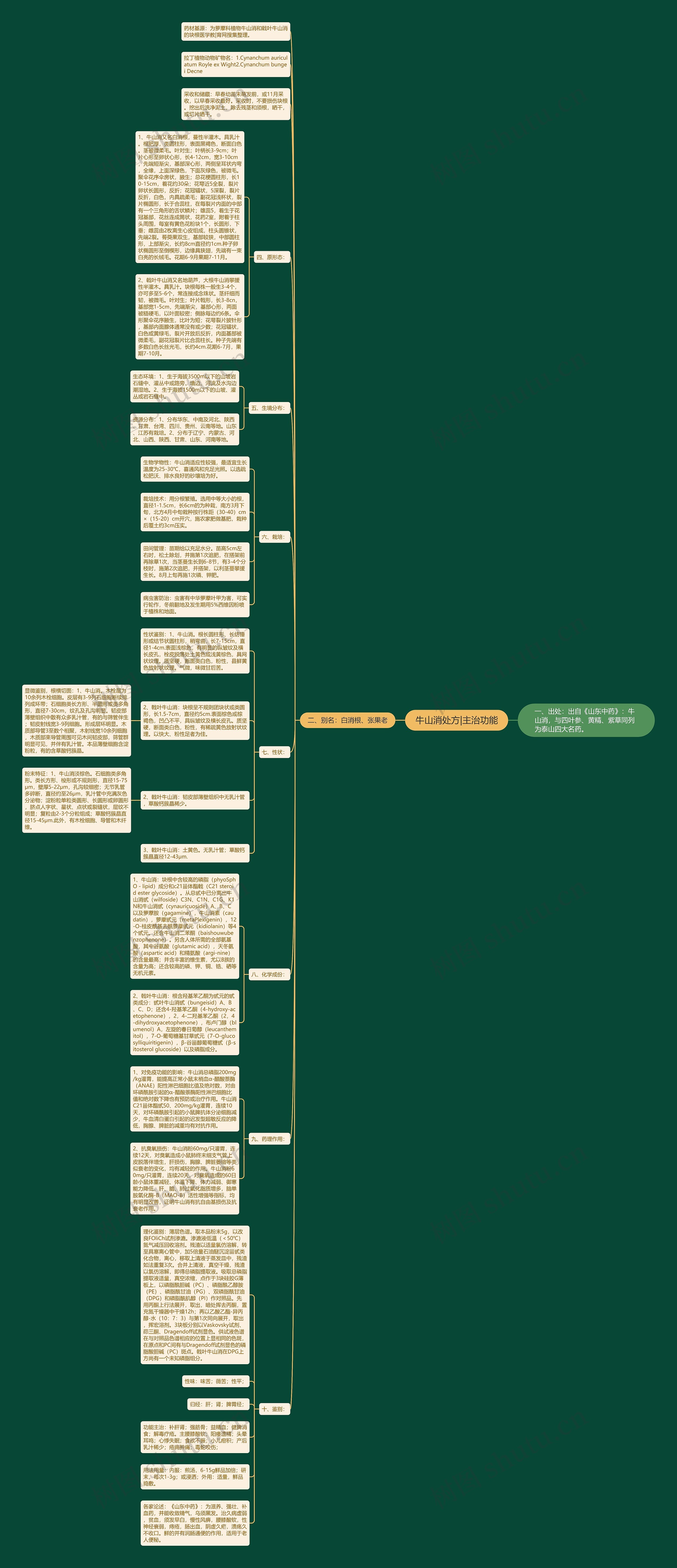 牛山消处方|主治功能思维导图高清图 牛山消处方|主治功能思维导图