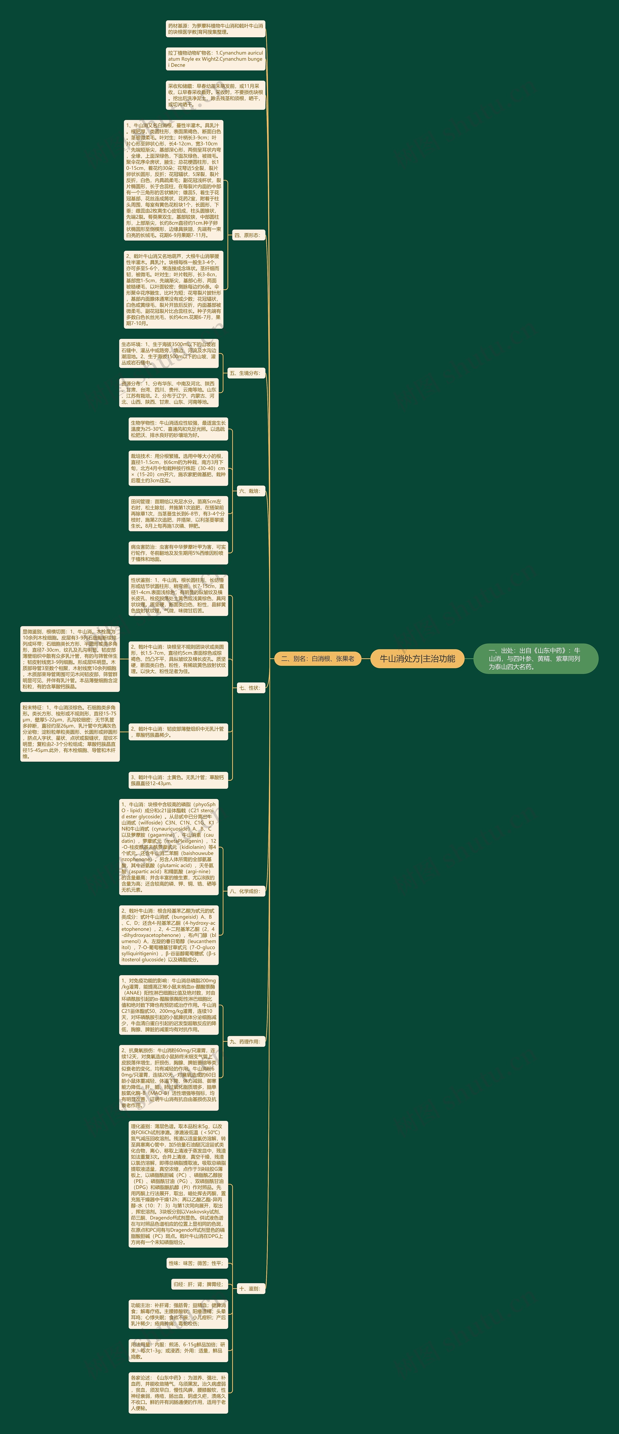 牛山消处方|主治功能思维导图