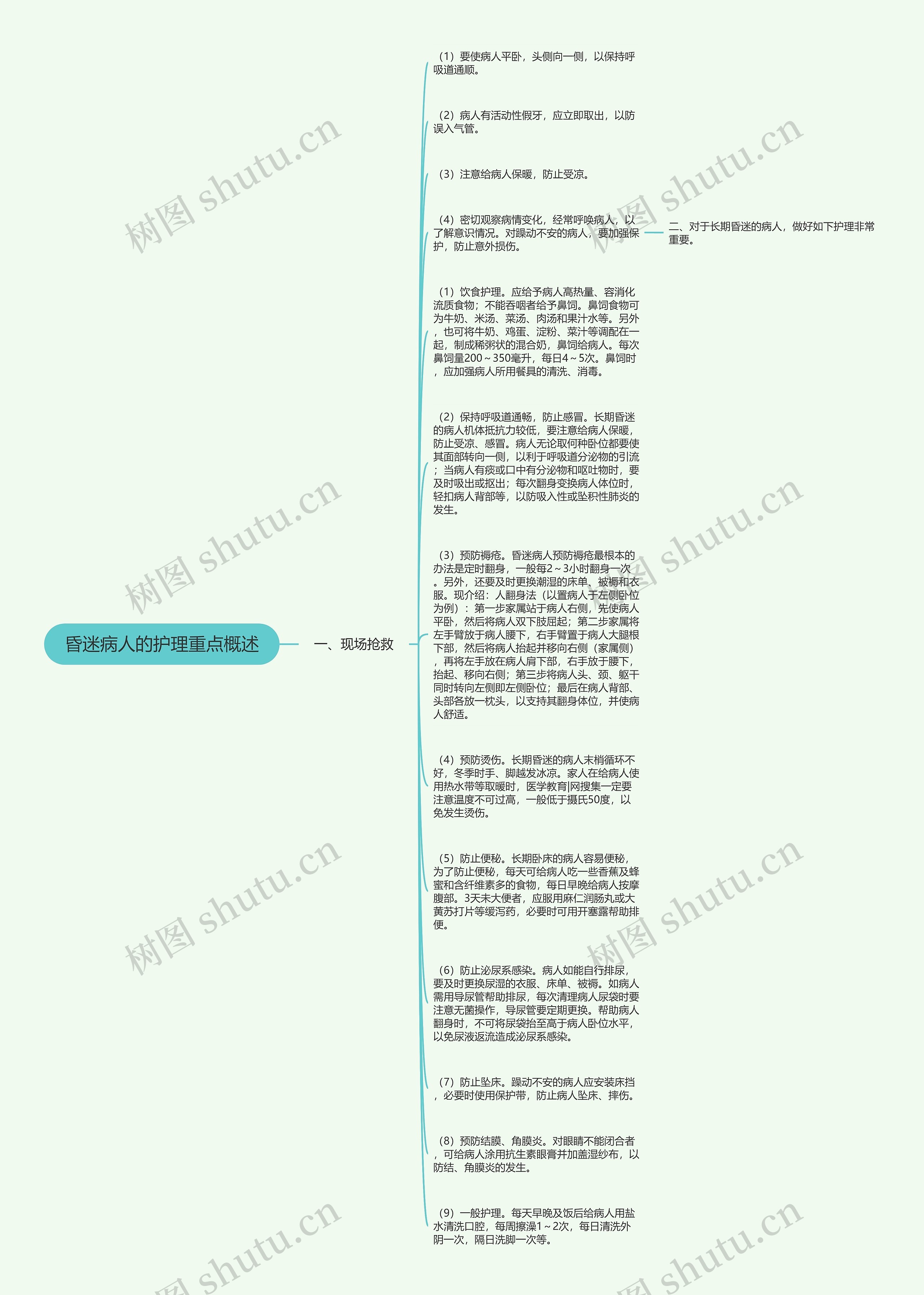 昏迷病人的护理重点概述思维导图