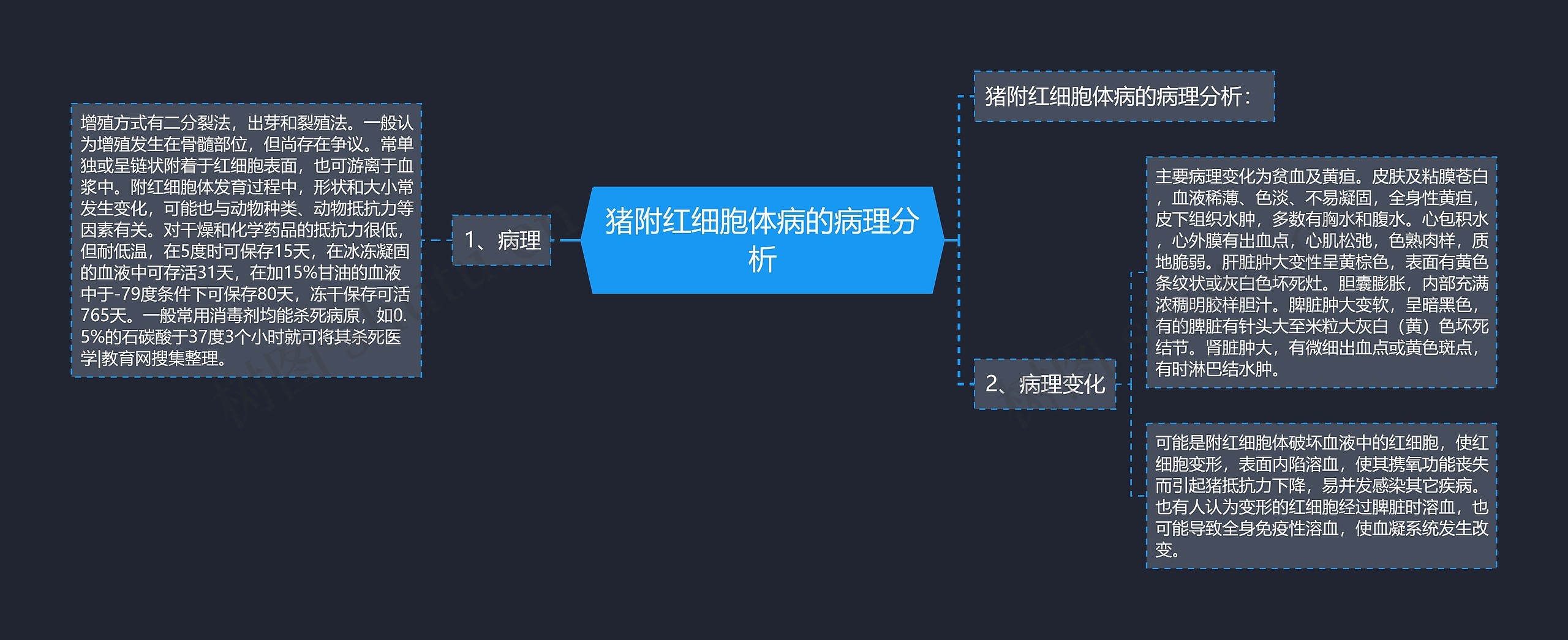 猪附红细胞体病的病理分析思维导图