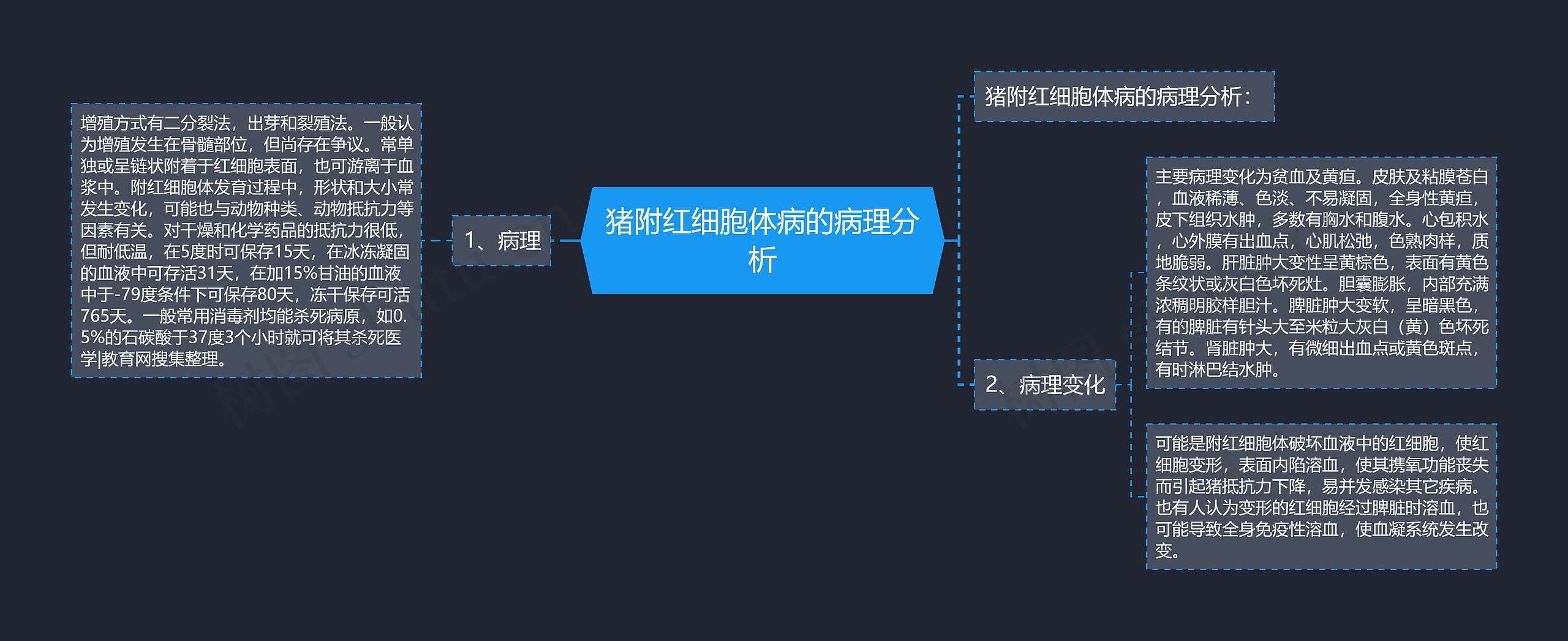 猪附红细胞体病的病理分析 猪附红细胞体病的病理分析