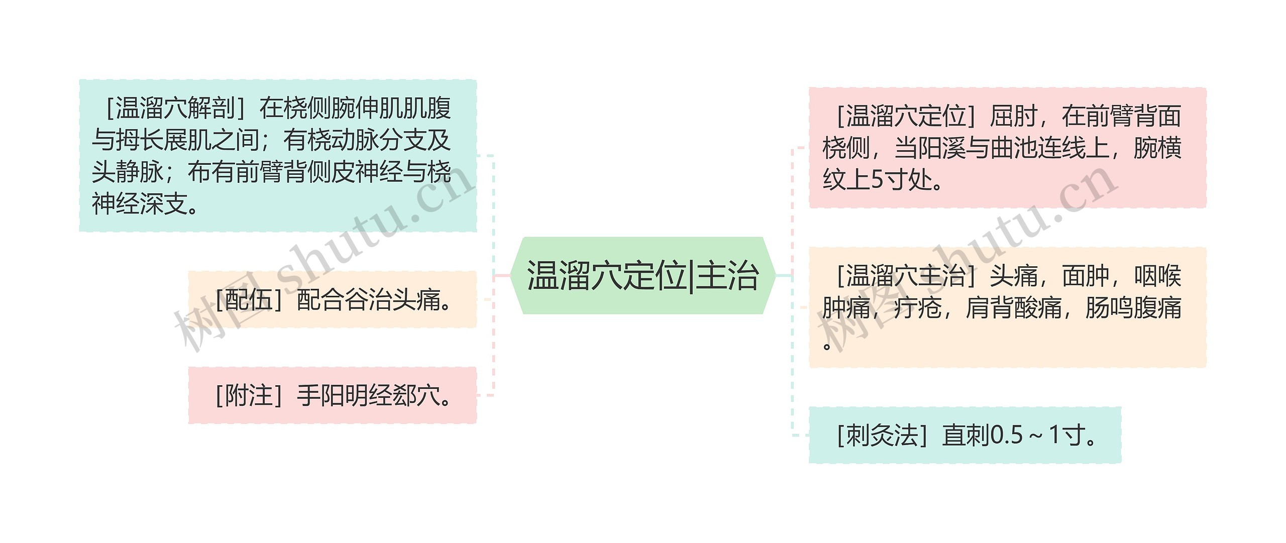 温溜穴定位|主治思维导图