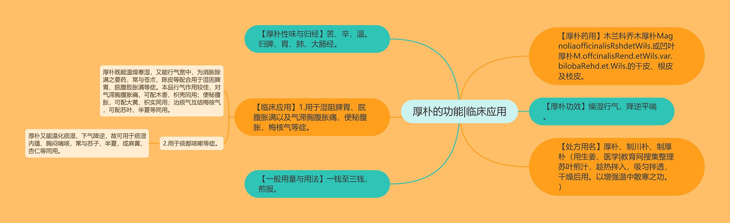 厚朴的功能|临床应用 厚朴的功能|临床应用