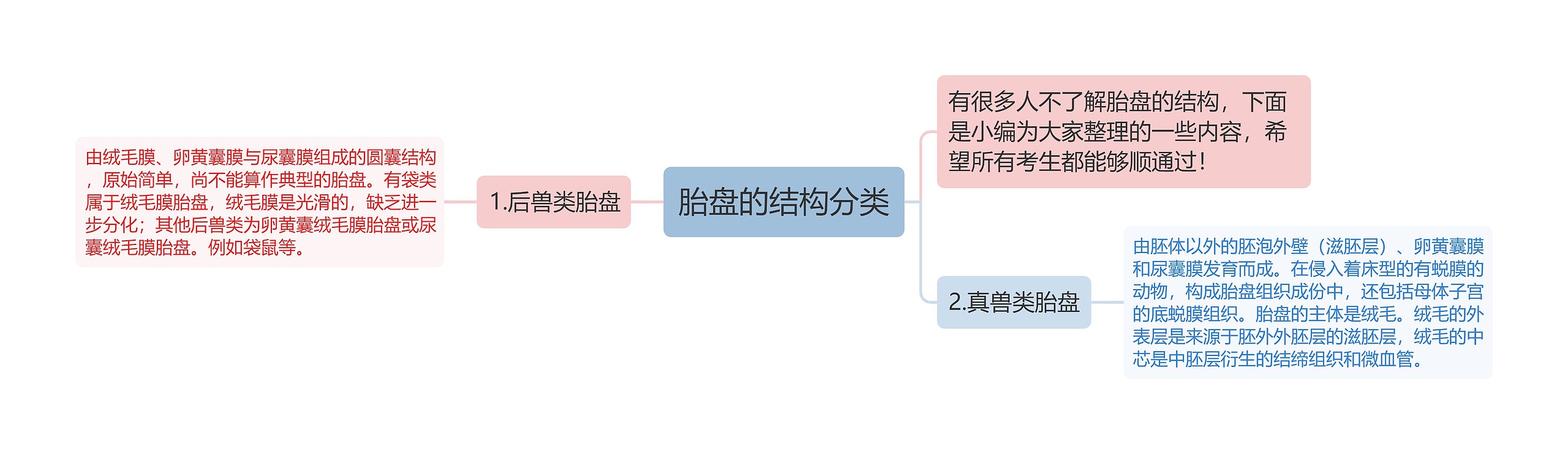 胎盘的结构分类思维导图