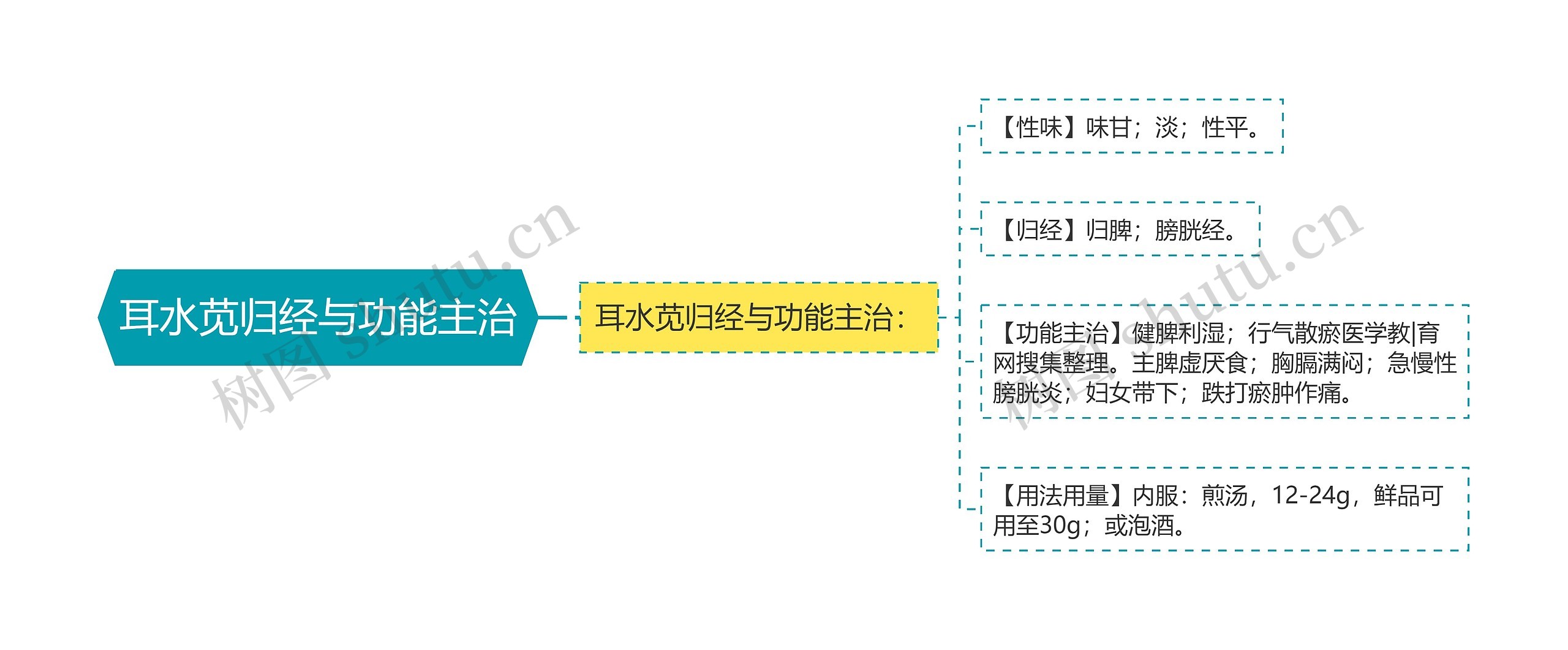 耳水苋归经与功能主治思维导图