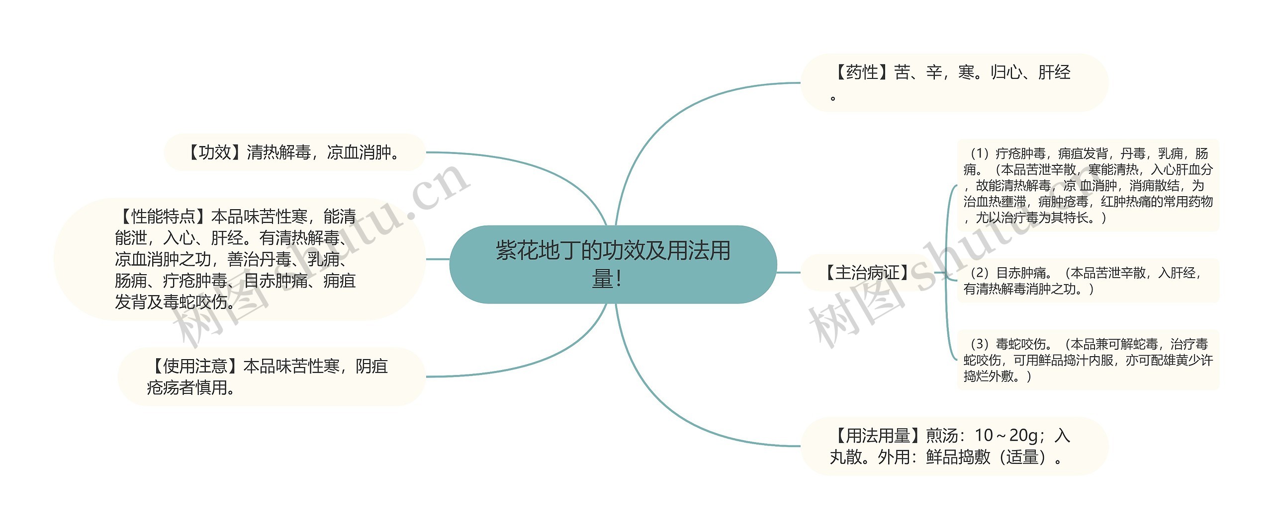 紫花地丁的功效及用法用量! 紫花地丁的功效及用法用量!