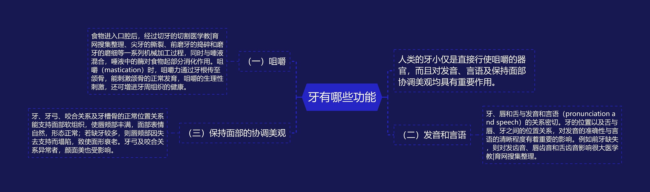 牙有哪些功能思维导图