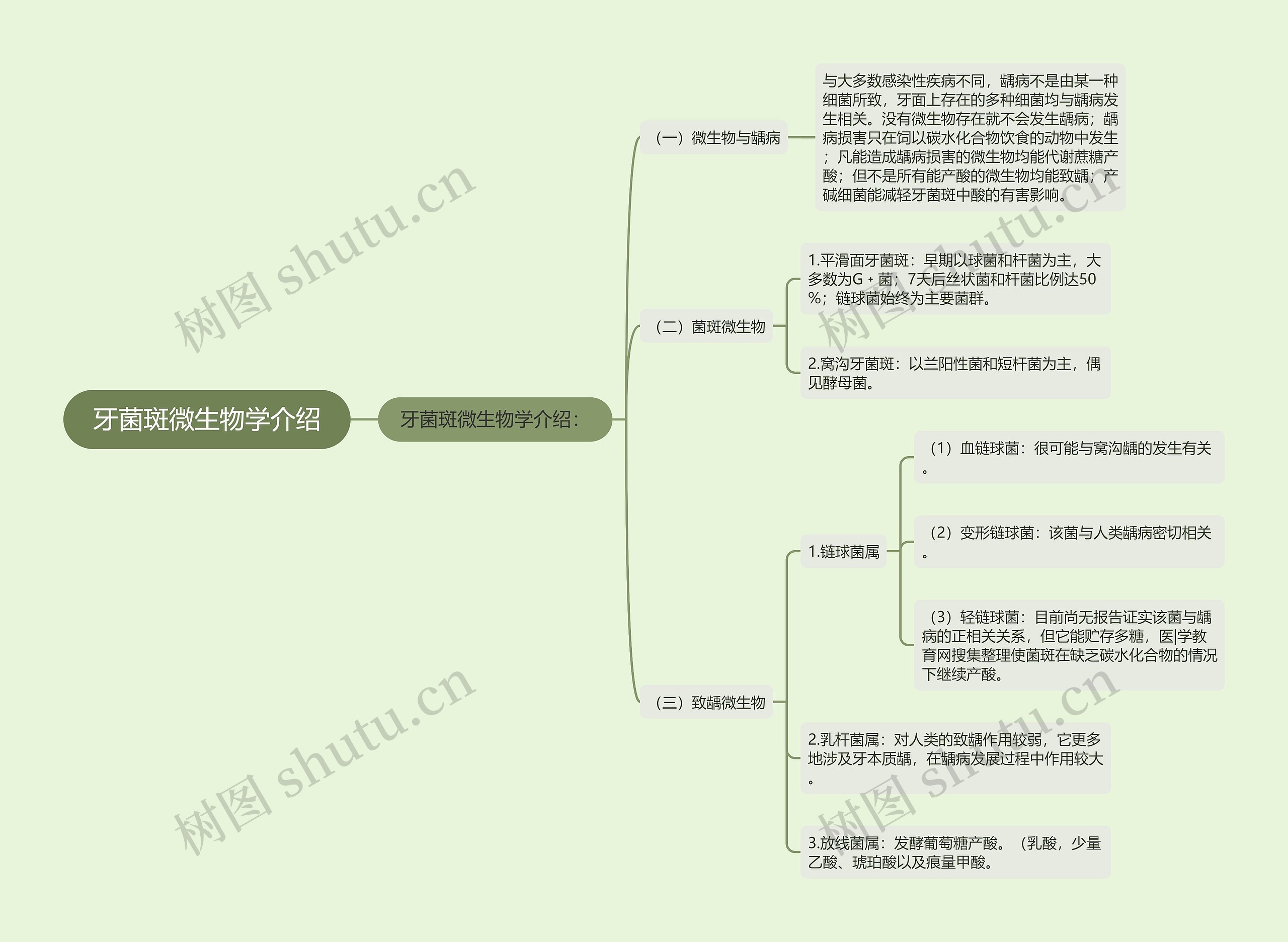 牙菌斑微生物学介绍思维导图高清图 牙菌斑微生物学介绍思维导图