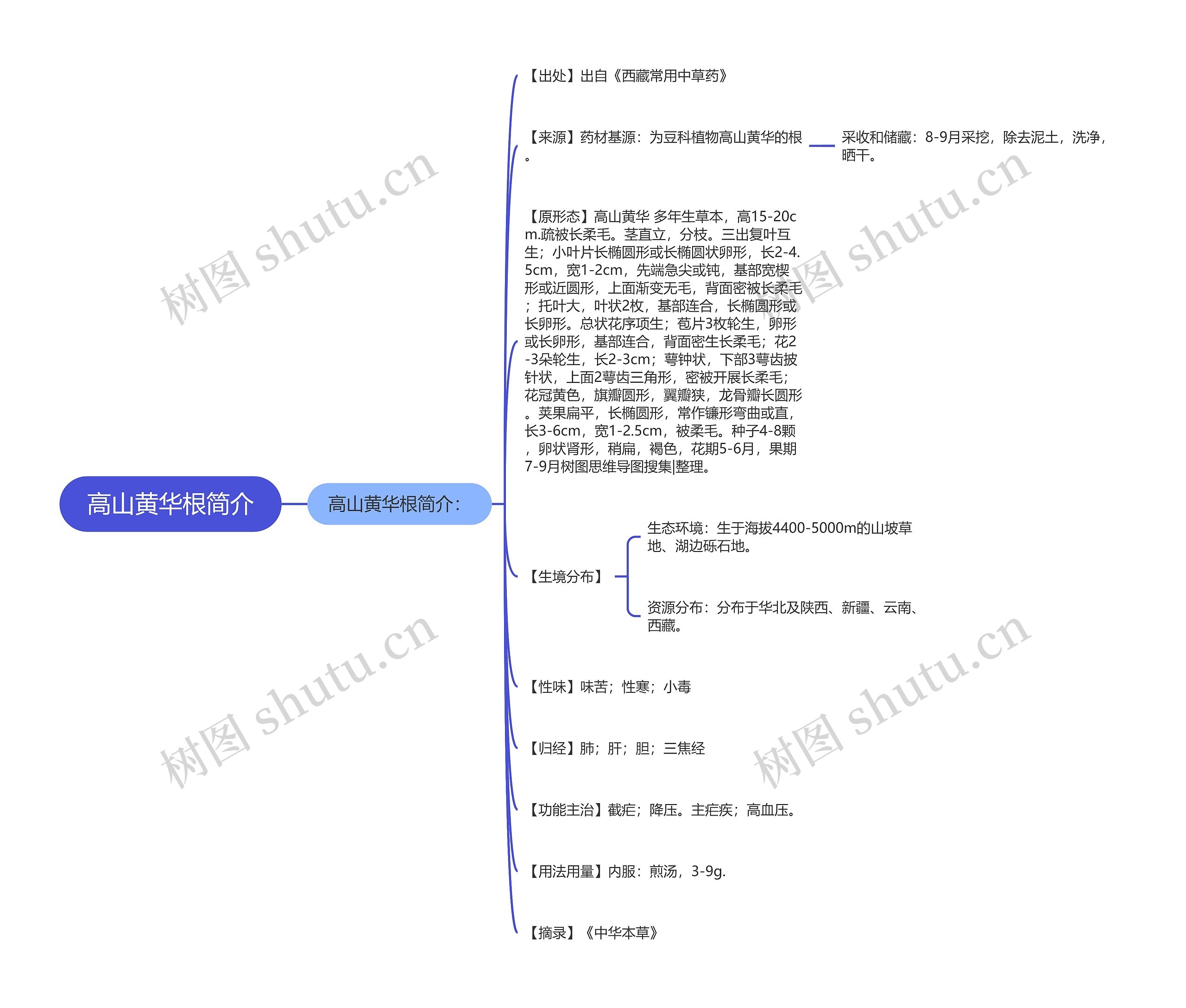 高山黄华根简介思维导图