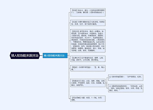 矮人陀功能|来源|主治