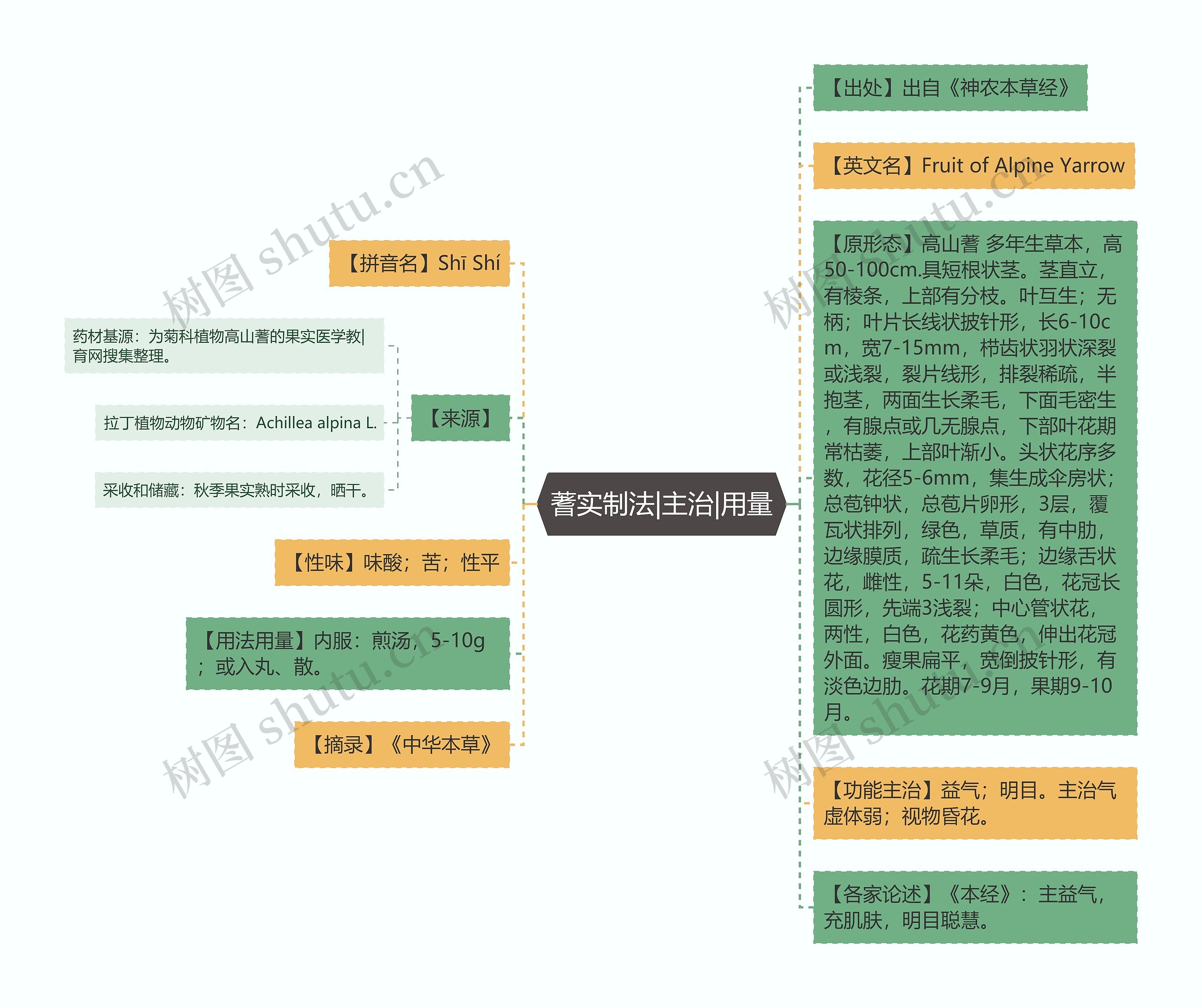 蓍实制法|主治|用量思维导图