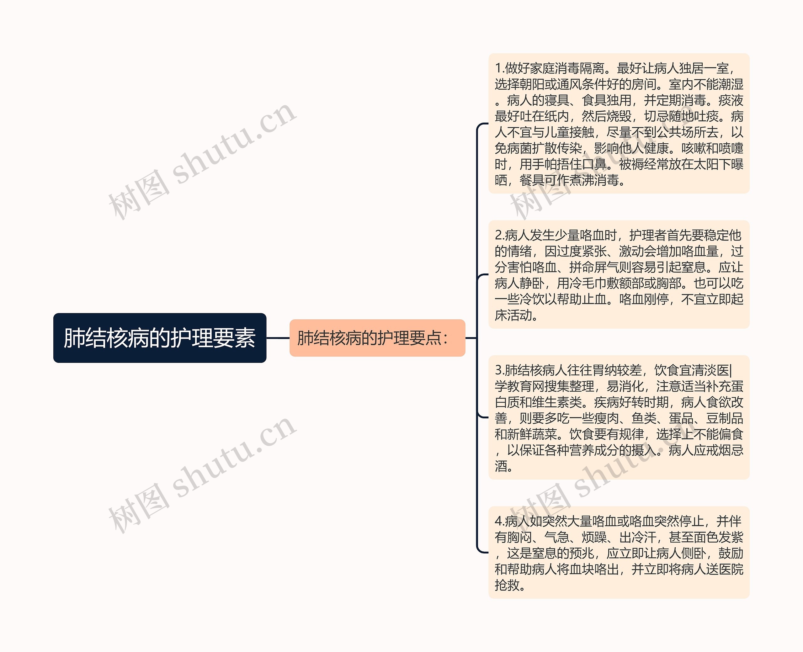 肺结核病的护理要素思维导图