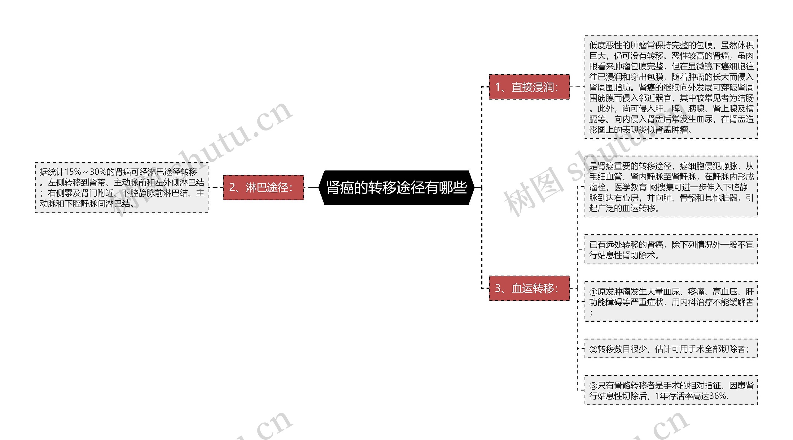 肾癌的转移途径有哪些思维导图