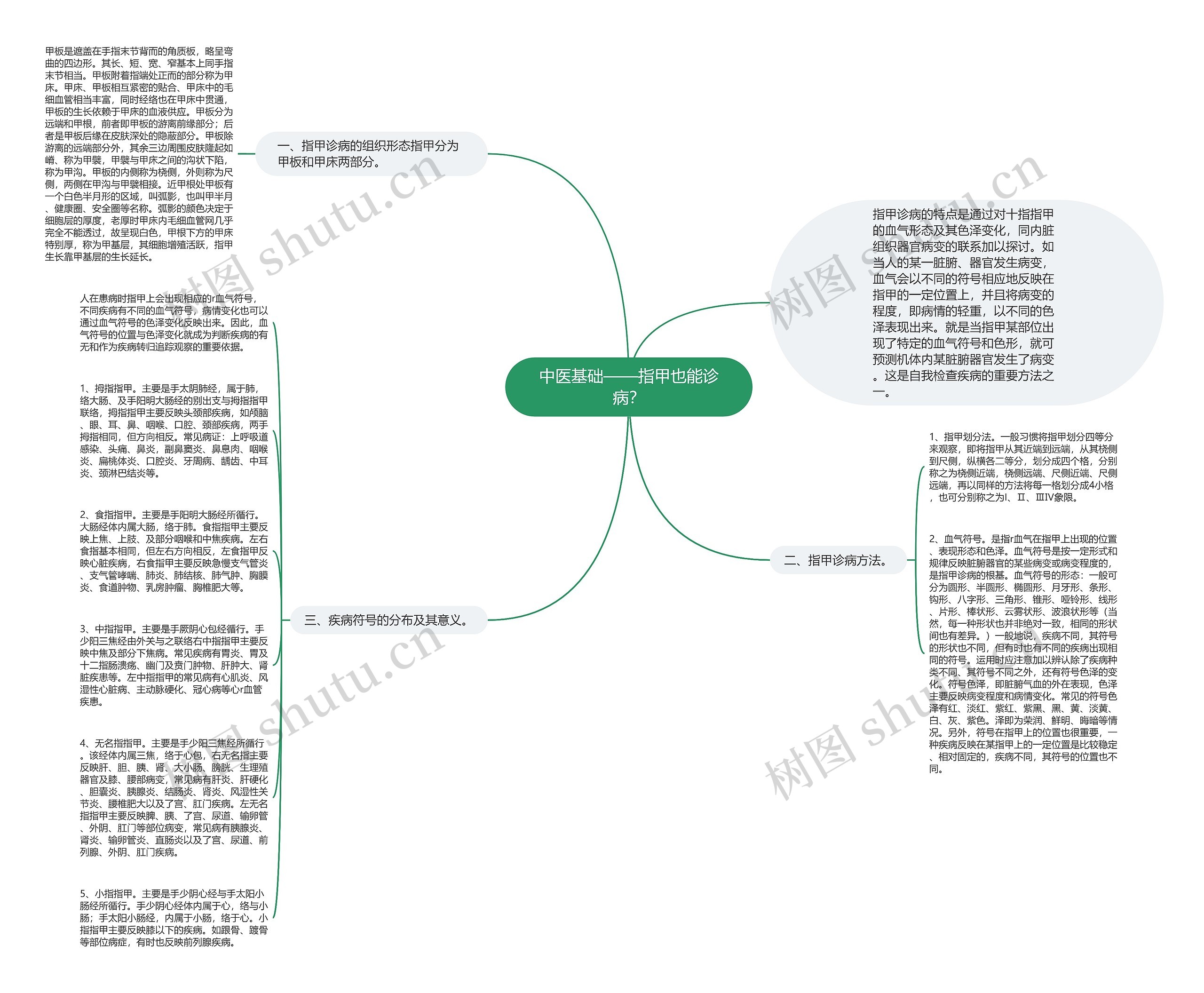 中医基础——指甲也能诊病？思维导图
