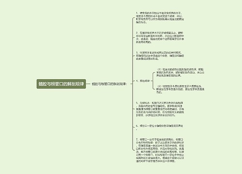 髓腔与根管口的解剖规律