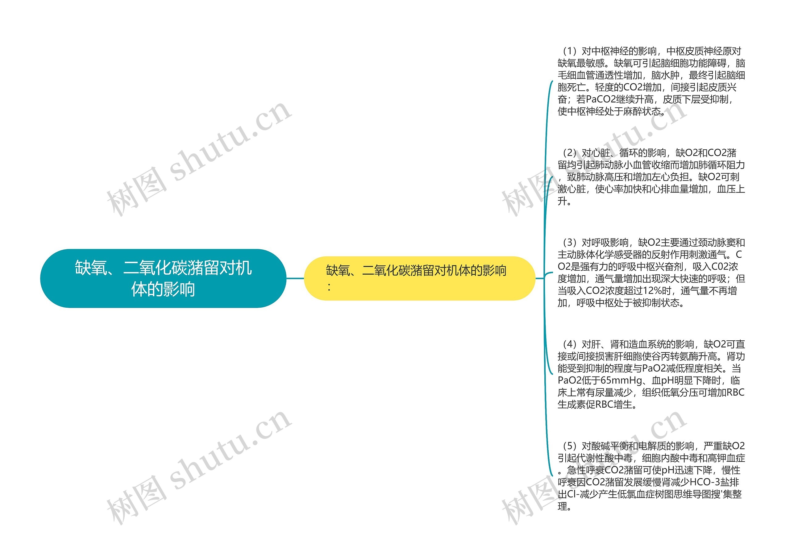 缺氧、二氧化碳潴留对机体的影响思维导图