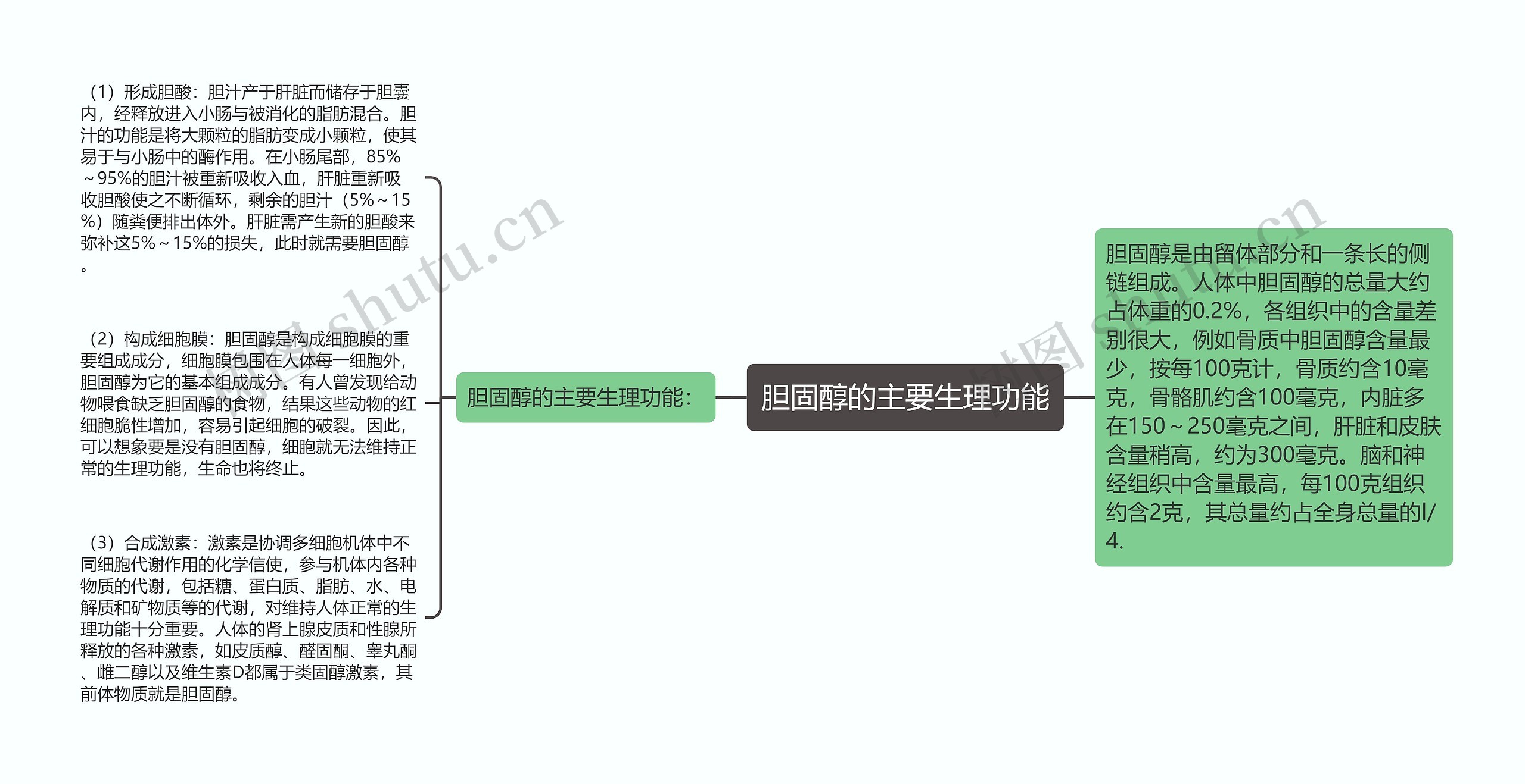 胆固醇的主要生理功能