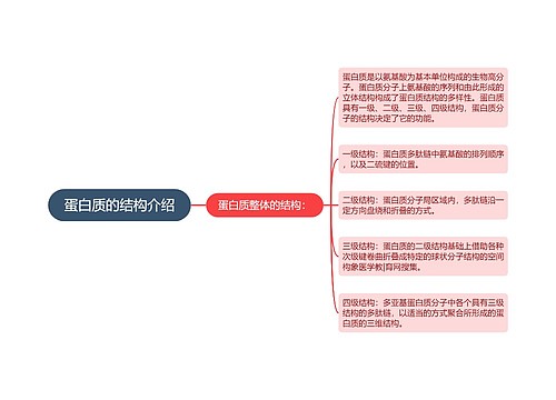 蛋白质的结构介绍