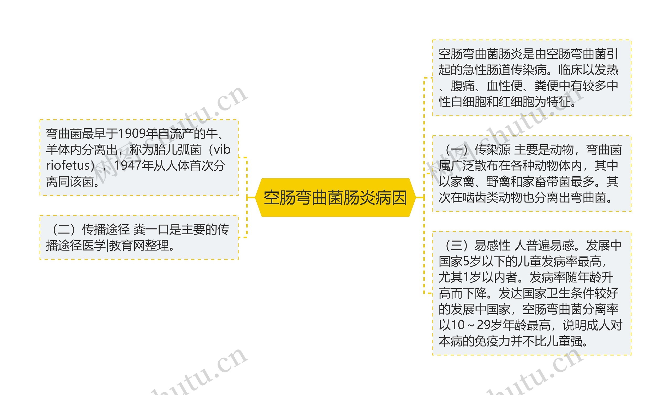 空肠弯曲菌肠炎病因