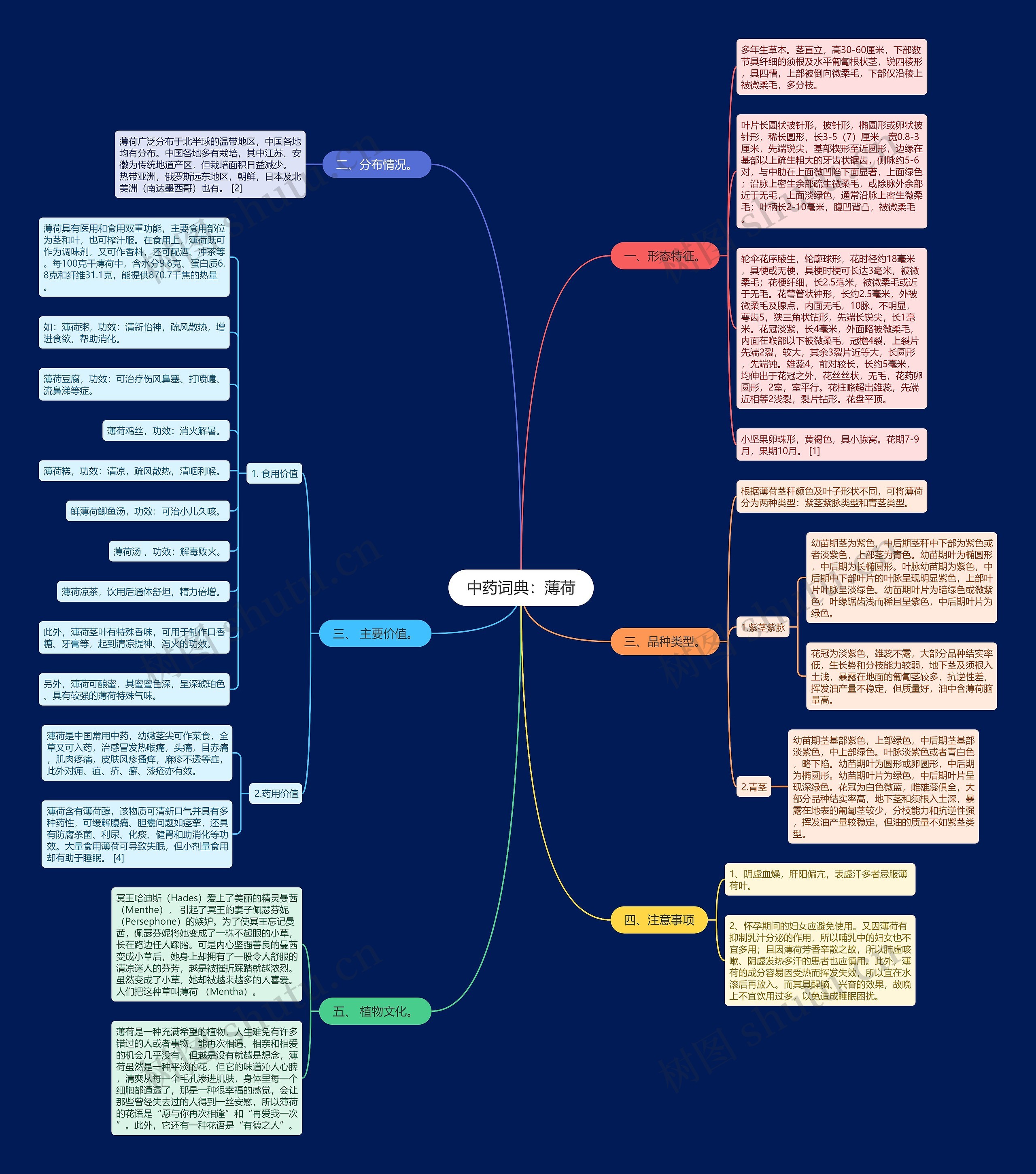 中药词典：薄荷思维导图