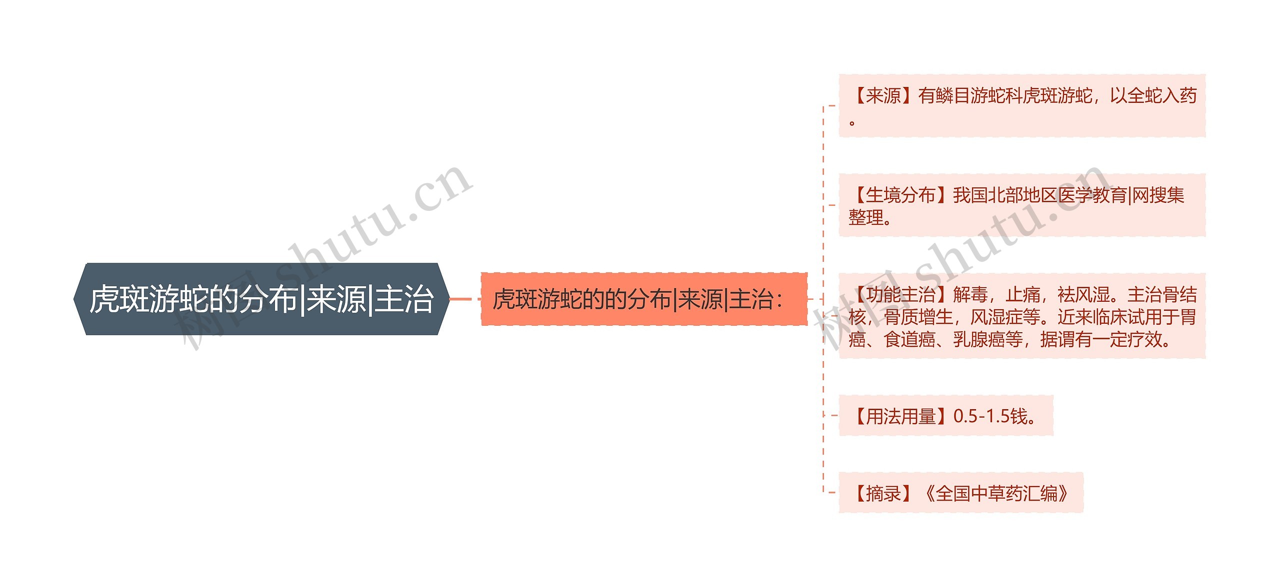 虎斑游蛇的分布|来源|主治思维导图