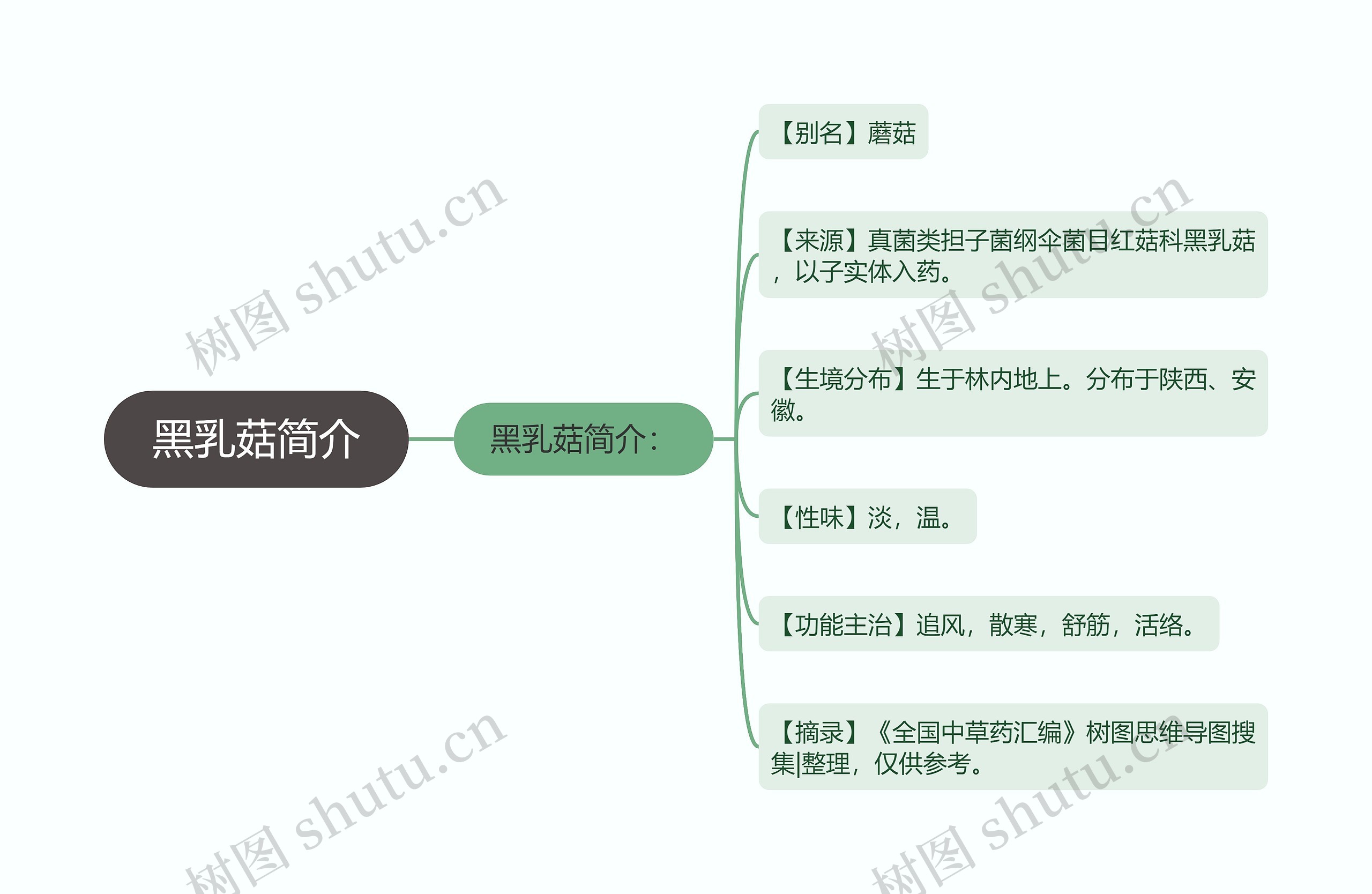 黑乳菇简介思维导图