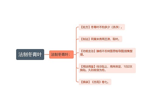 法制冬青叶