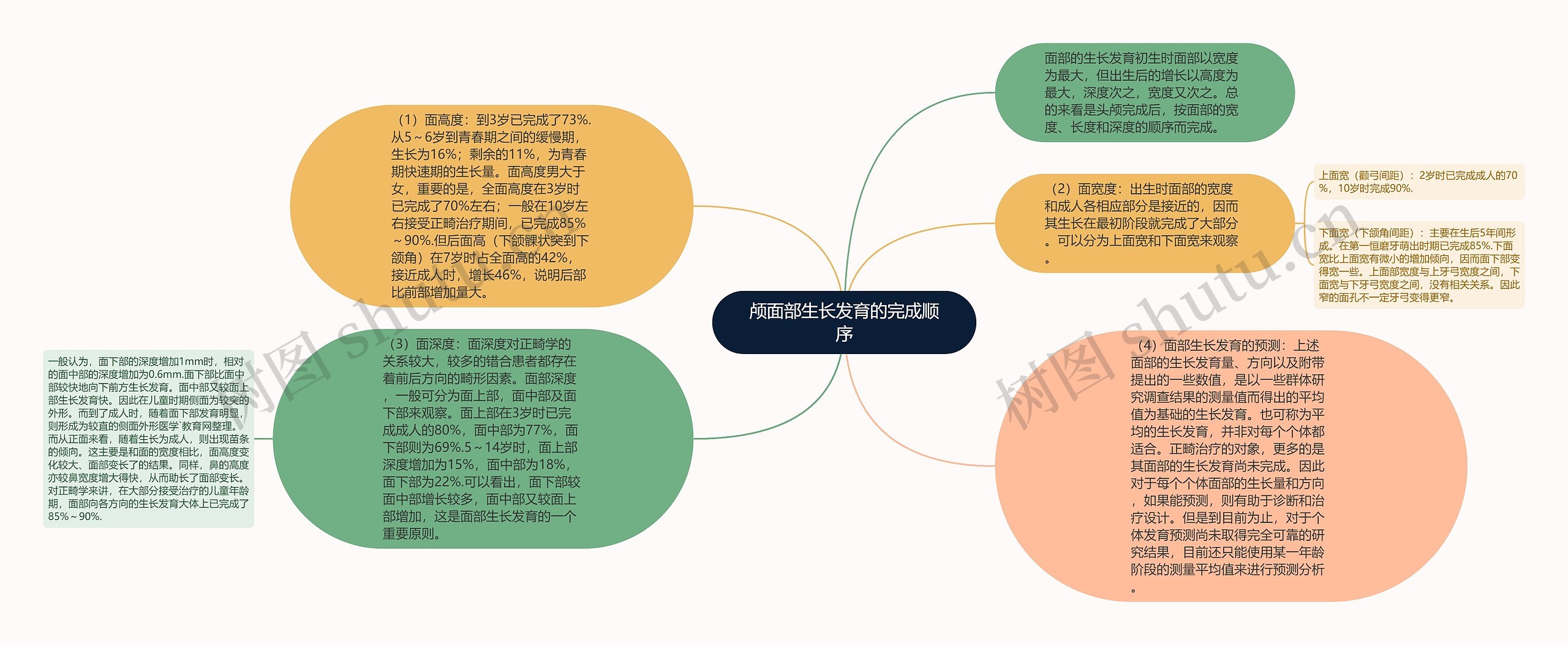 颅面部生长发育的完成顺序思维导图