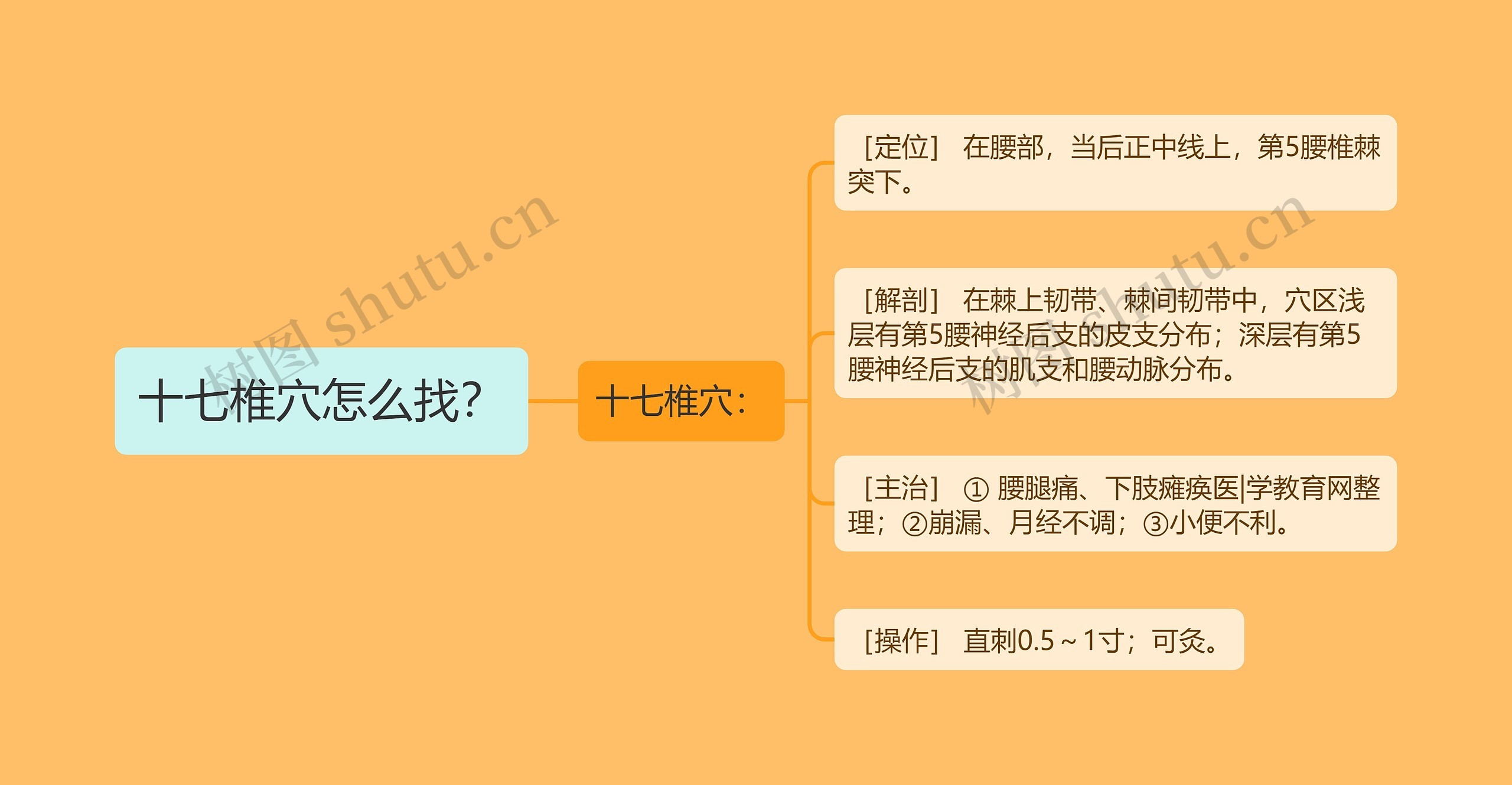 十七椎穴怎么找? 十七椎穴怎么找?