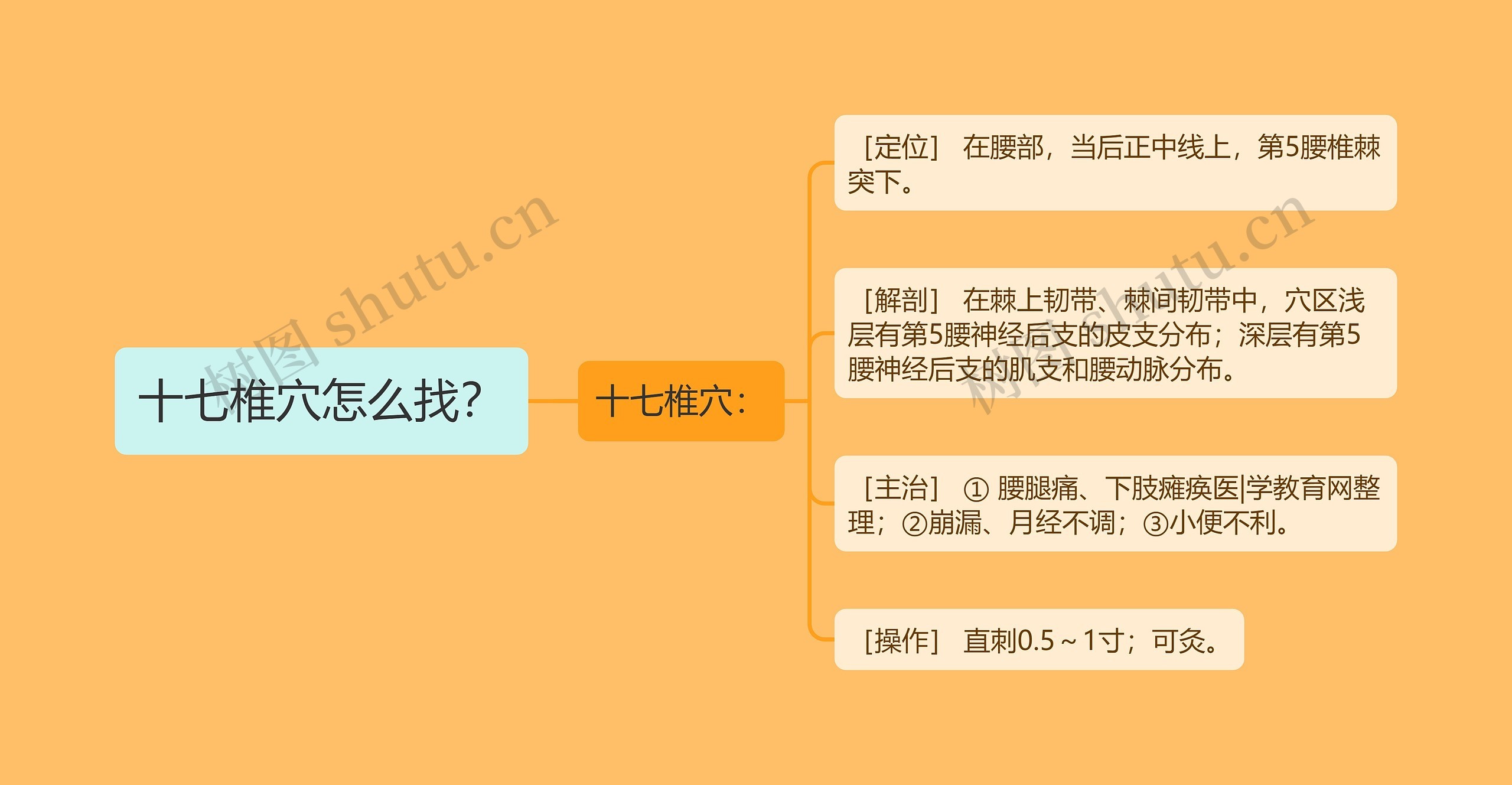 十七椎穴怎么找？思维导图