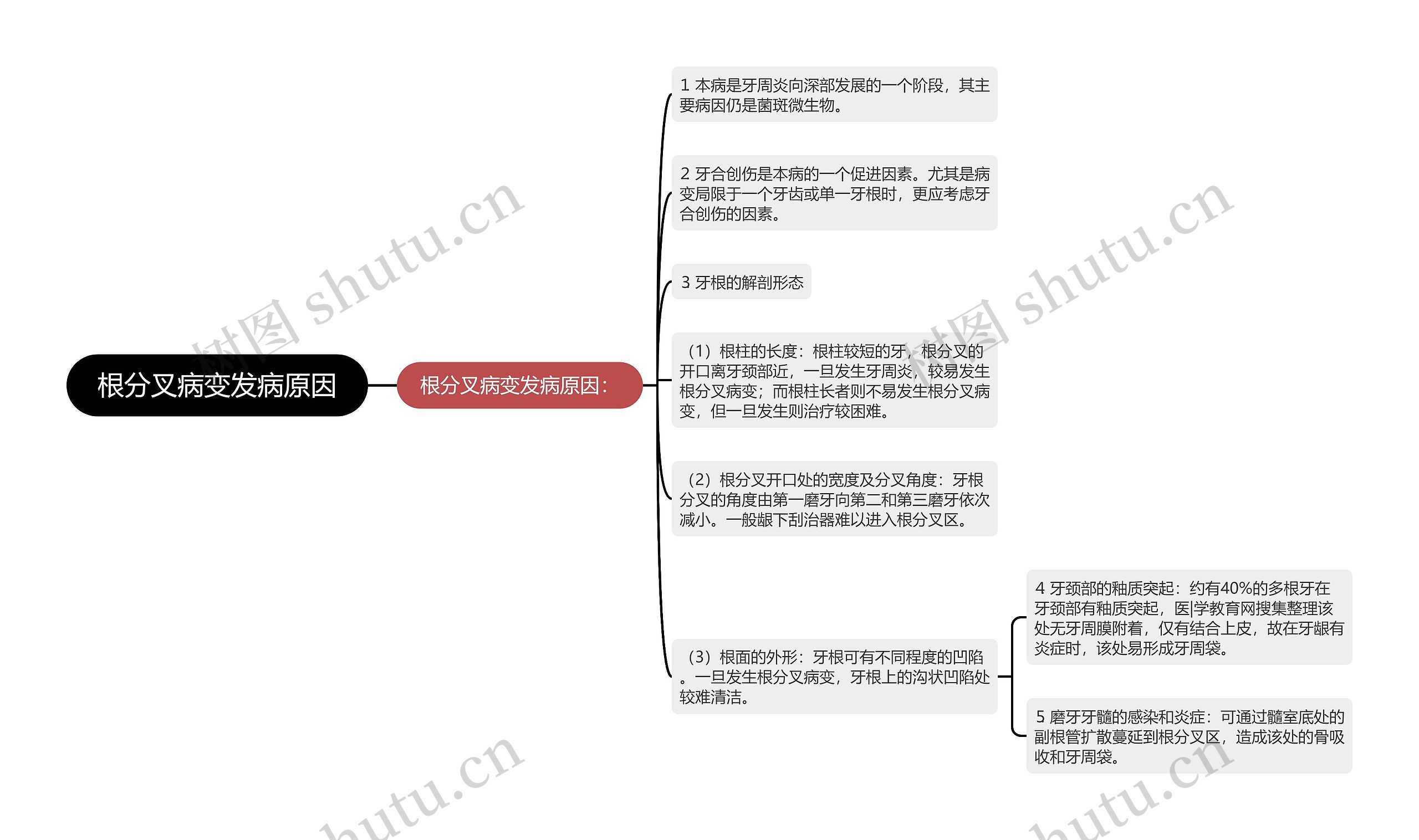 根分叉病变发病原因