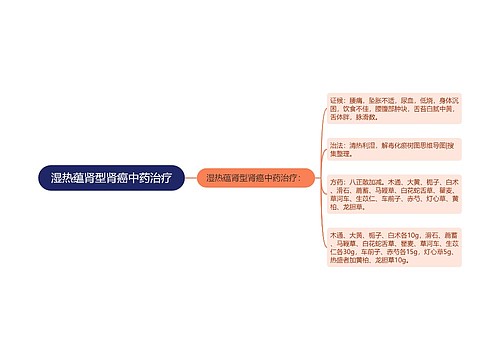 湿热蕴肾型肾癌中药治疗