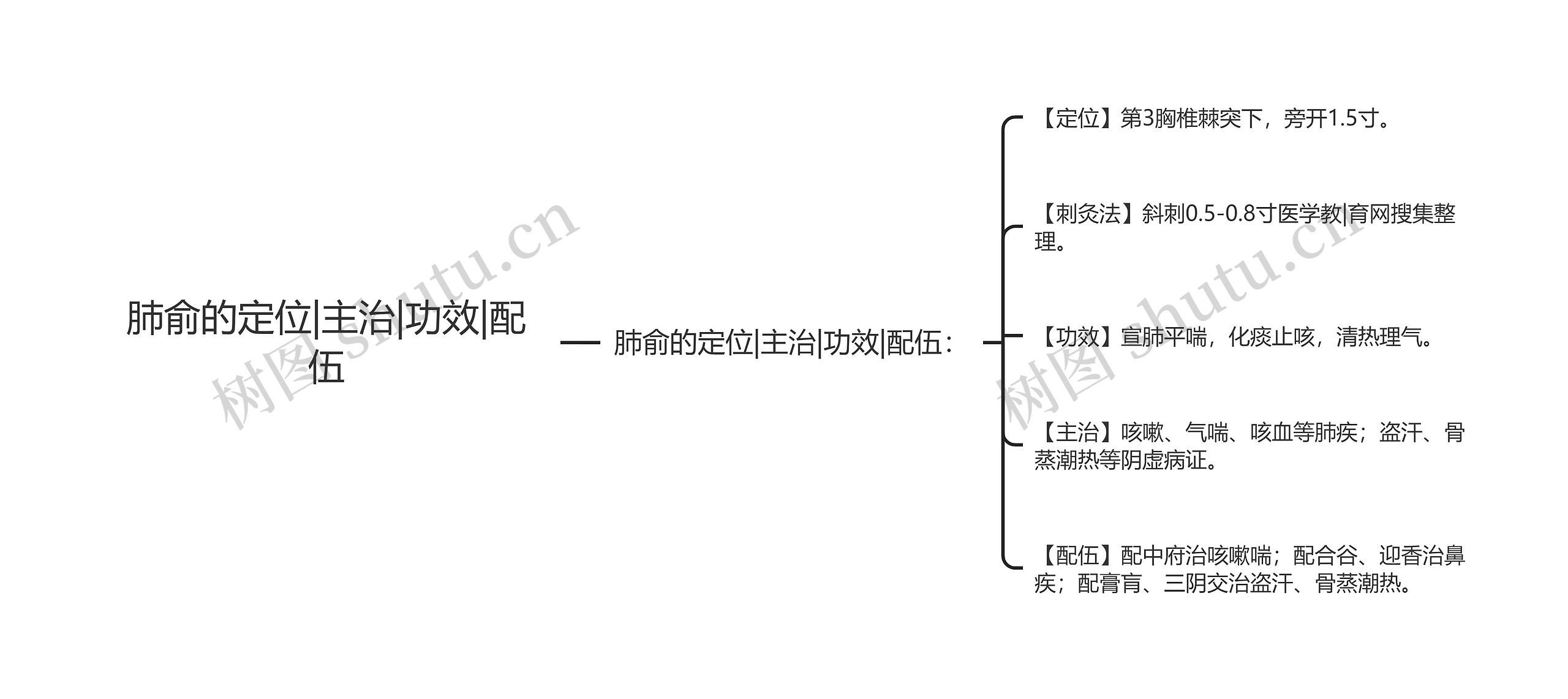 肺俞的定位|主治|功效|配伍思维导图